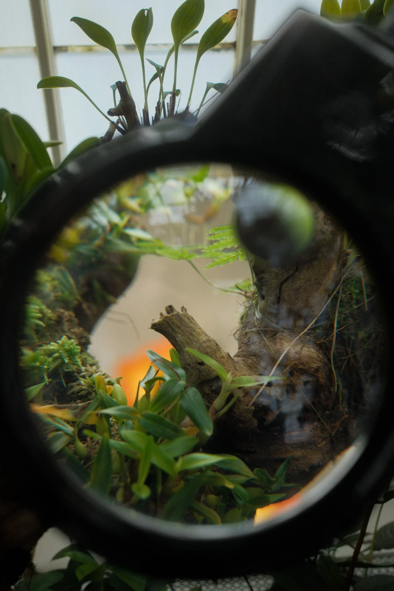 DSCF6395.jpg