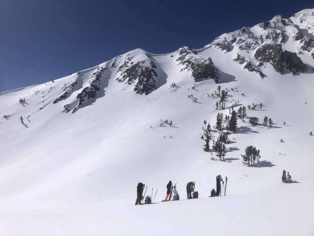 Group of people with backpacks and ski gear on snowy mountain slope with scattered trees and rugged, snow-covered mountain peaks in the background under a clear blue sky.