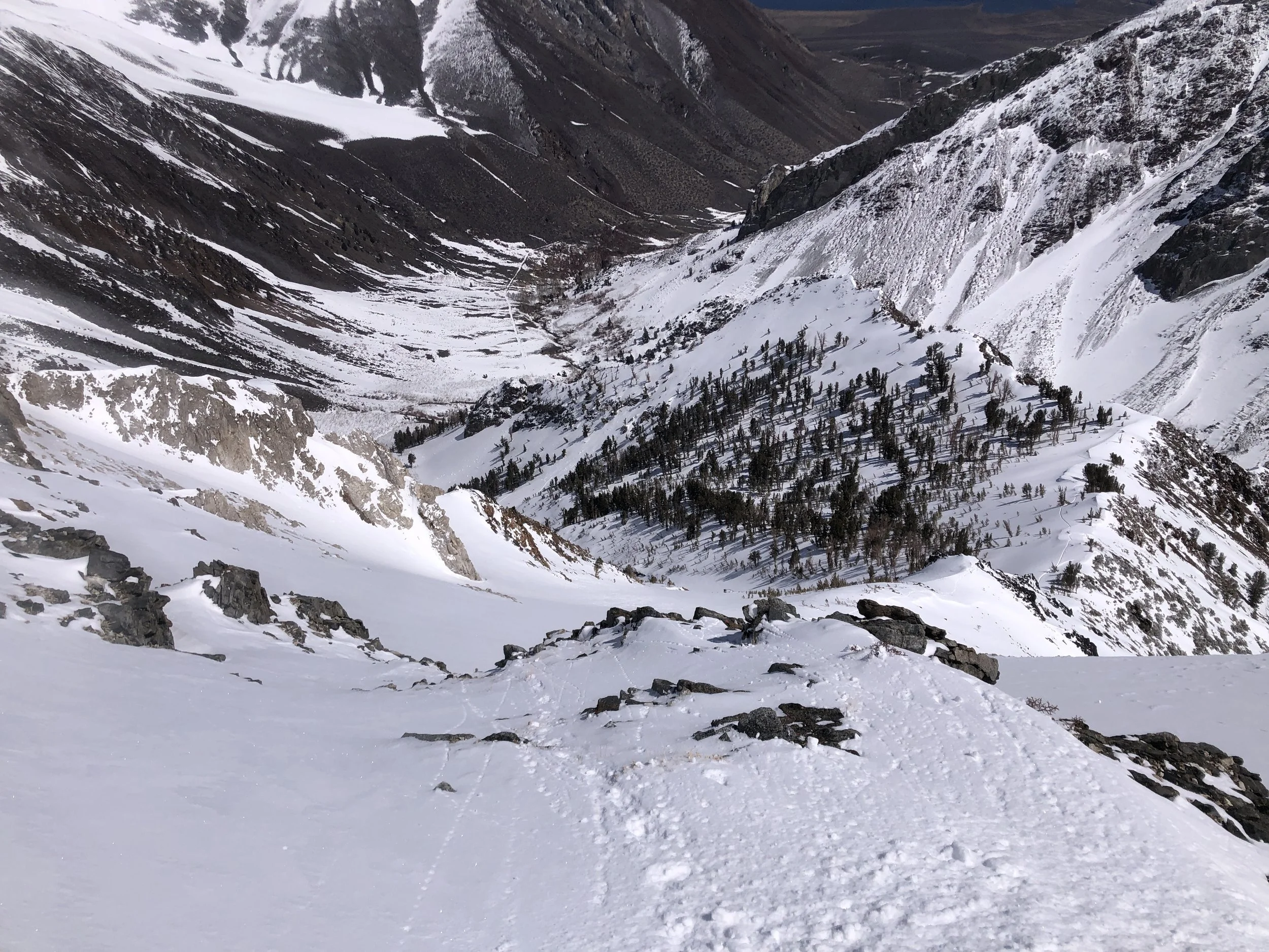 Deep in the Eastern Sierra, April 2024. 