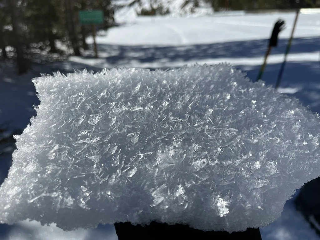 Surface Hoar crystals found near Yosemite National Park, Feb 2024
