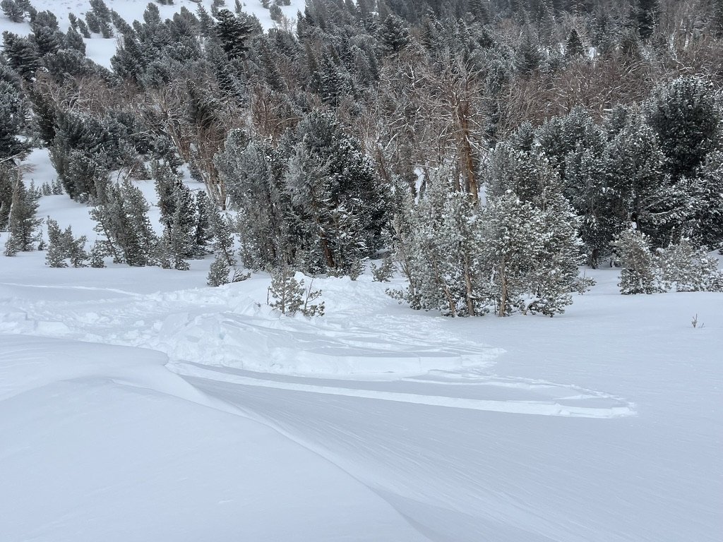 Human triggered D1 wind slab avalanche, June Lake, Jan 2025
