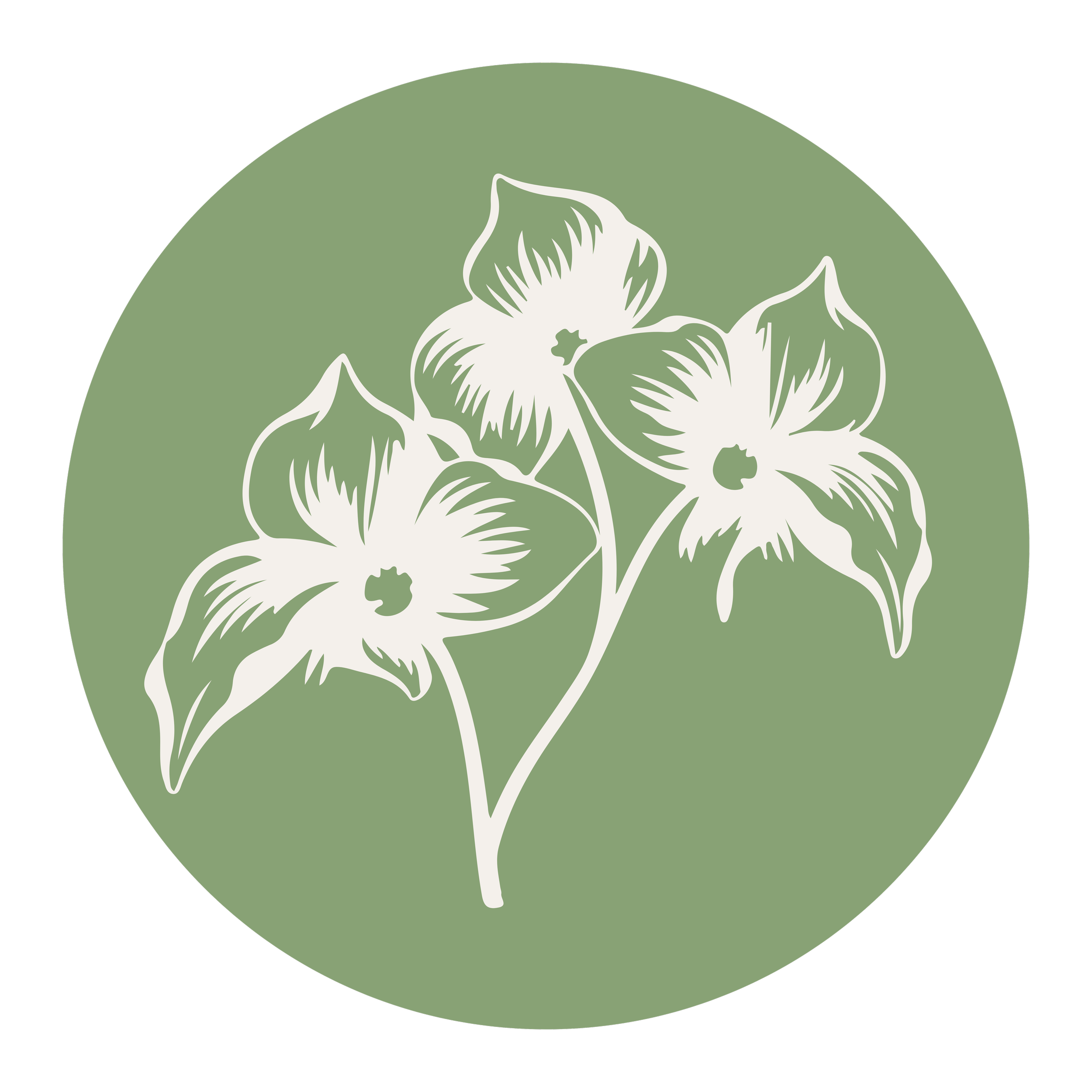A graphic logo with a green background and white floral design in the center.