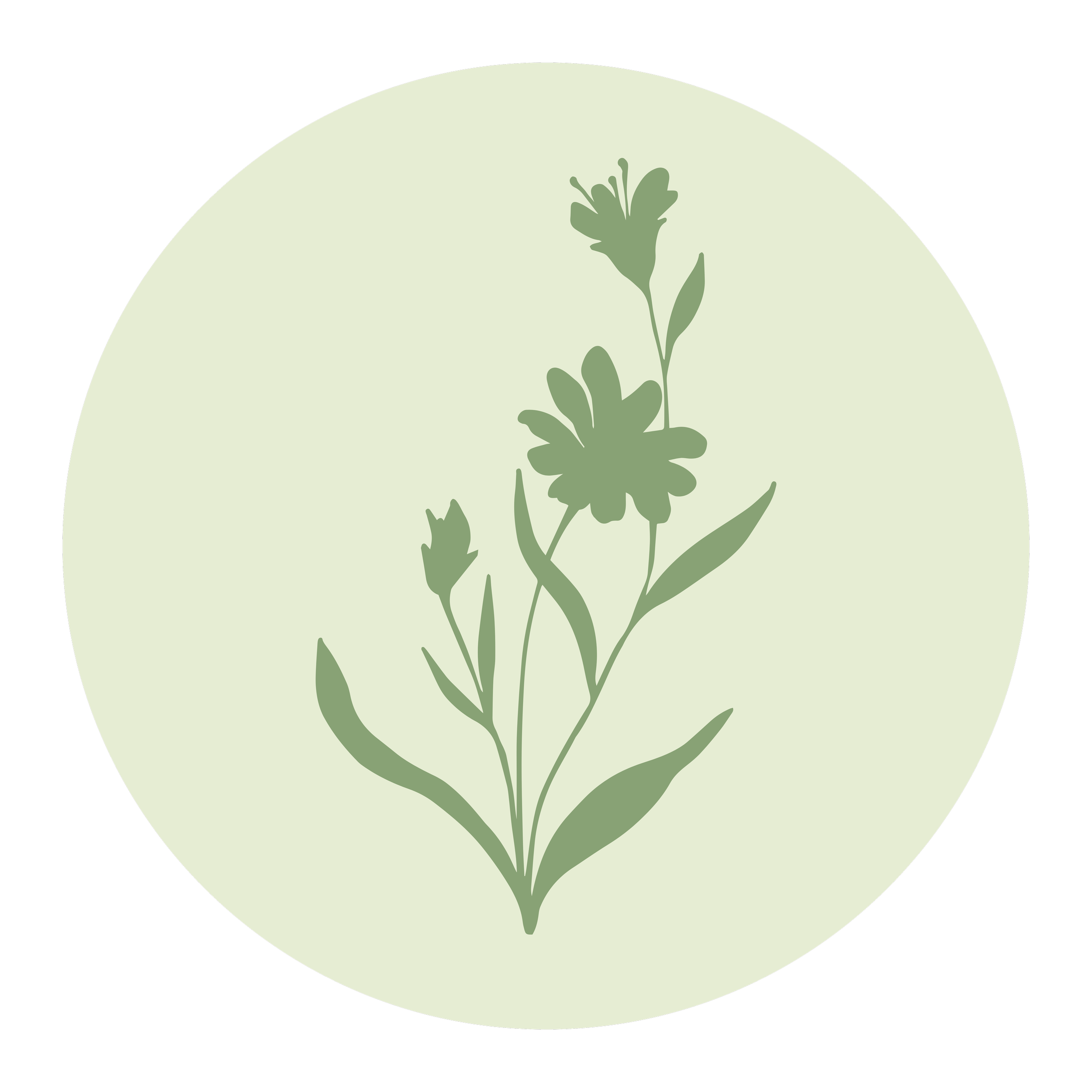A minimalist digital illustration of a green plant with leaves and flowers against a light green background, encircled by a black border.