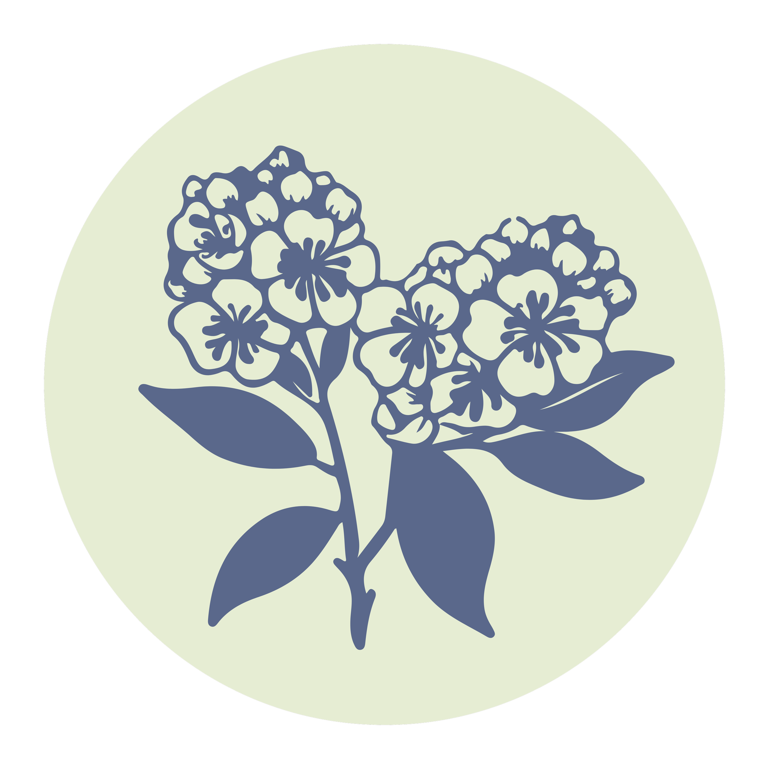 Illustration of a cluster of flowers inside a circular background with a dark outer border.