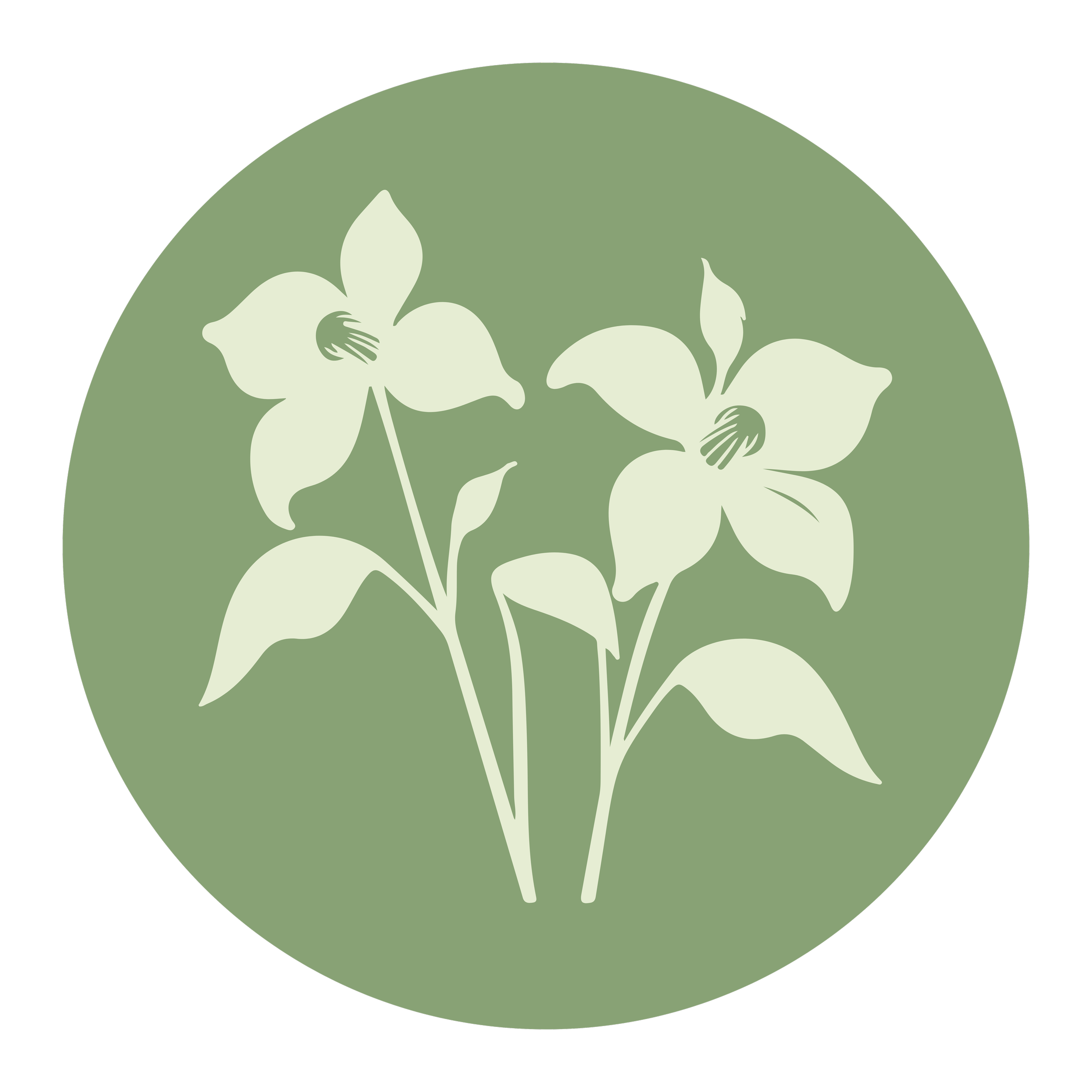 Illustration of white orchid flowers on a green background.