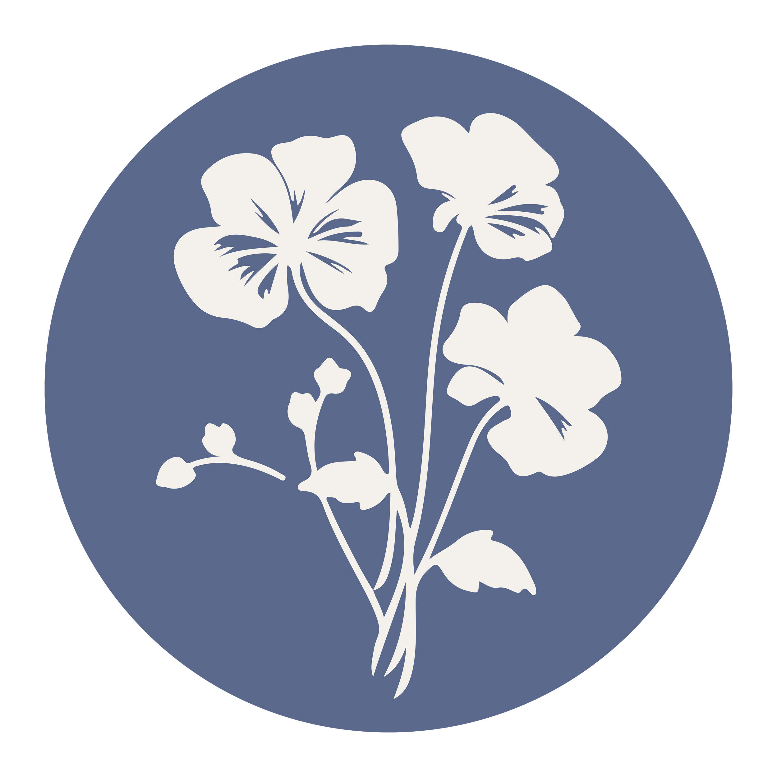 Stylized illustration of white hibiscus flowers on a dark blue circular background with a black outer border.