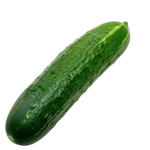 Cucumber