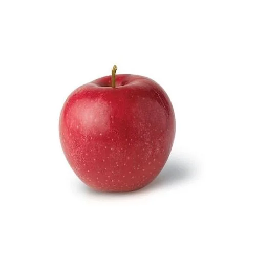 Gala Apple