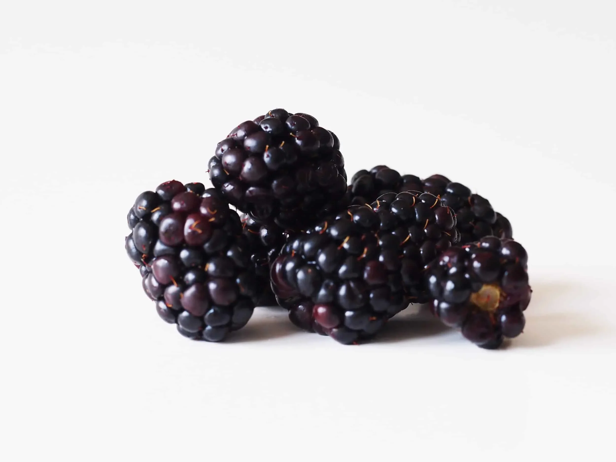 Blackberries