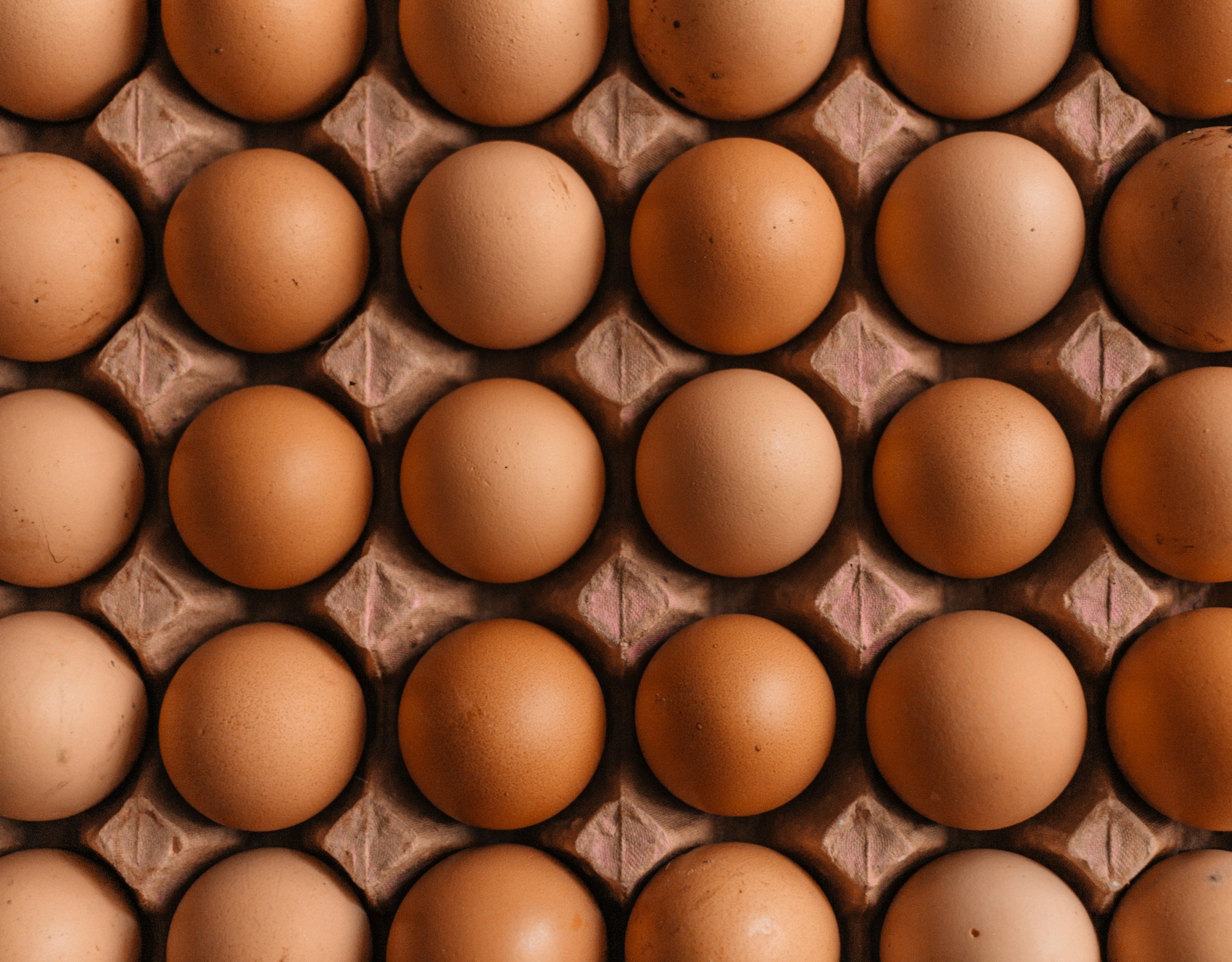 unsplash-image-leOh1CzRZVQ.jpg