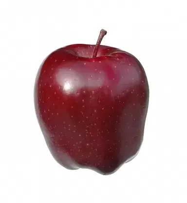 Red Delicious Apple