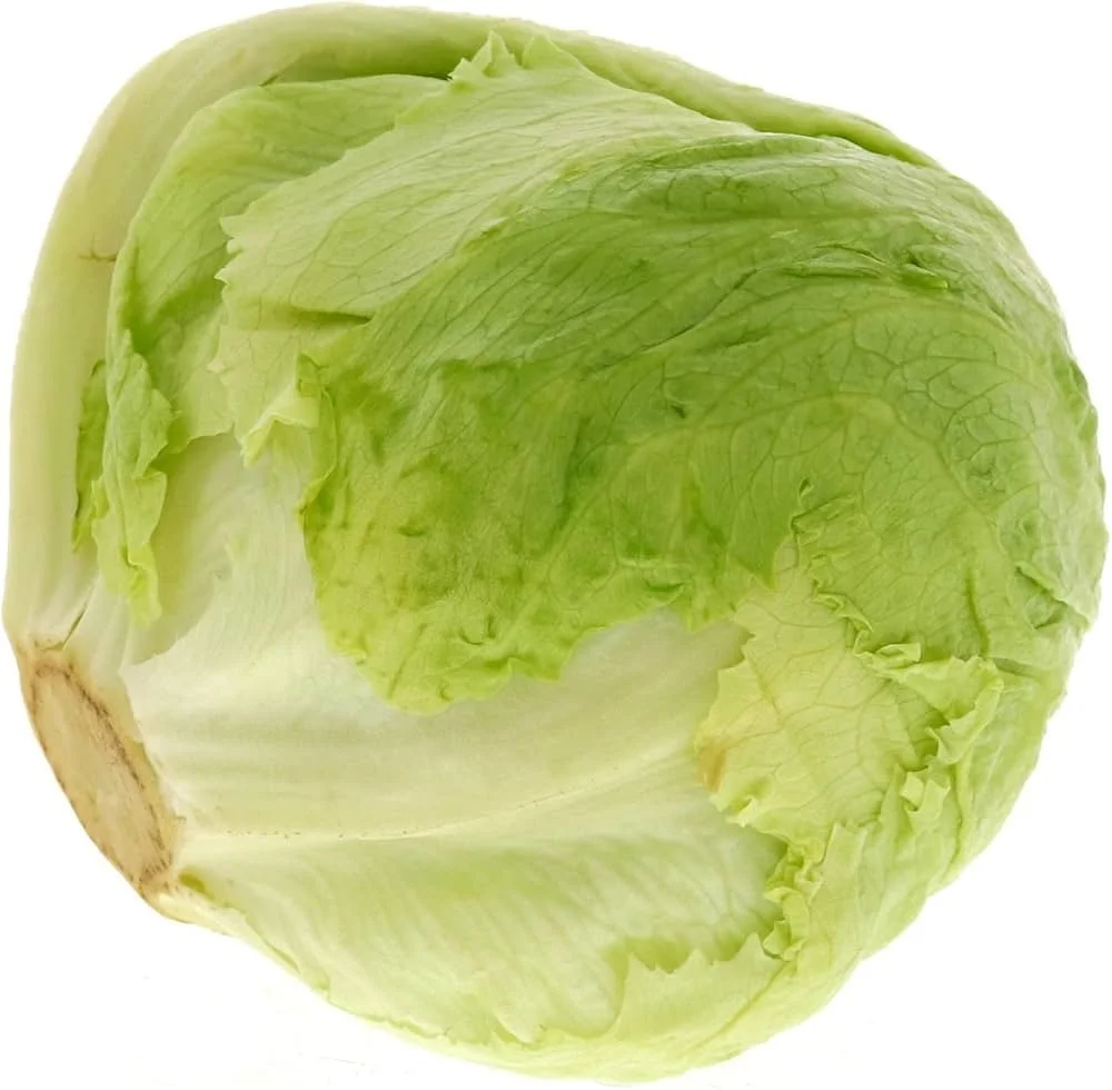 Iceberg Lettuce