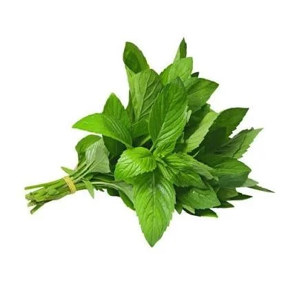 Mint
