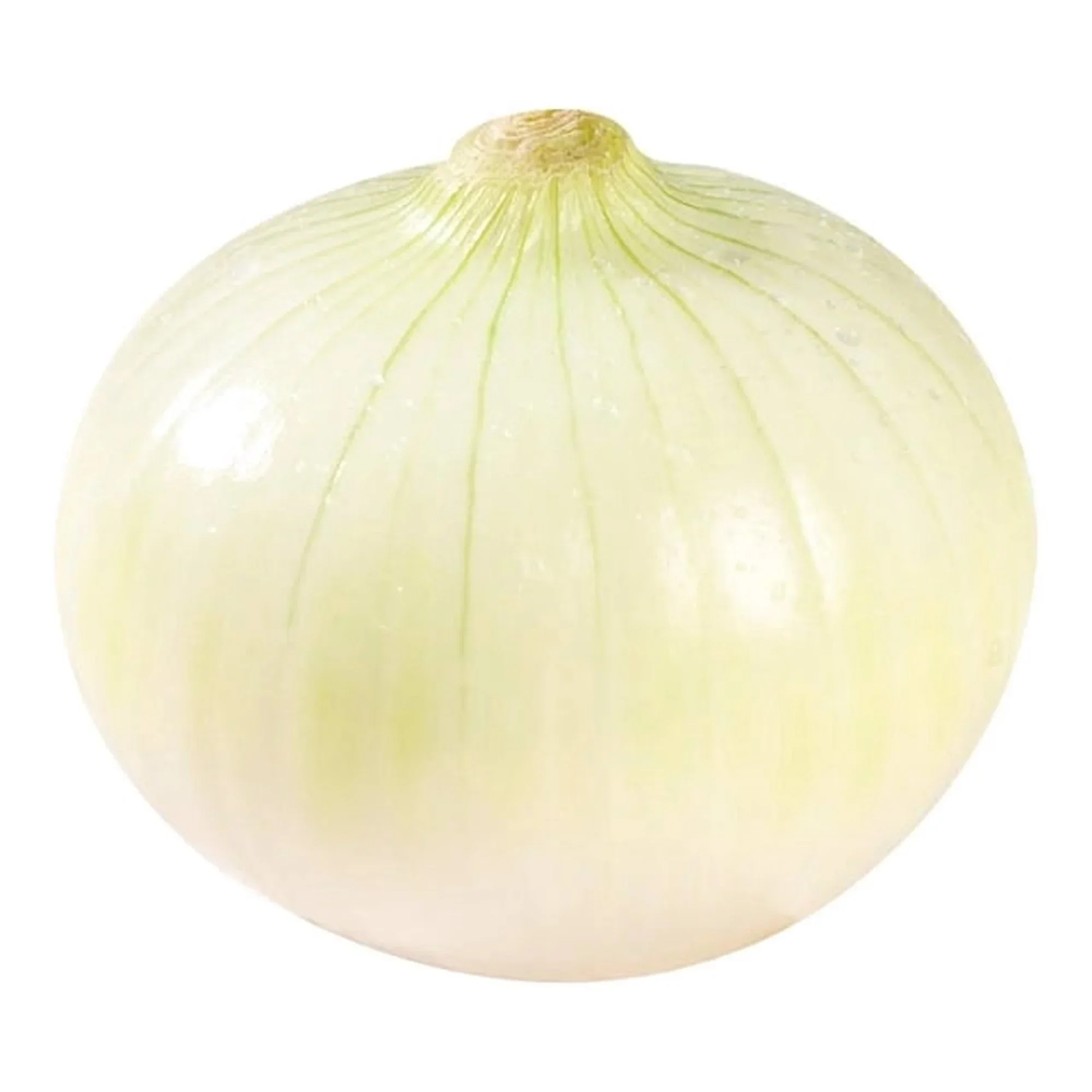 White Onion