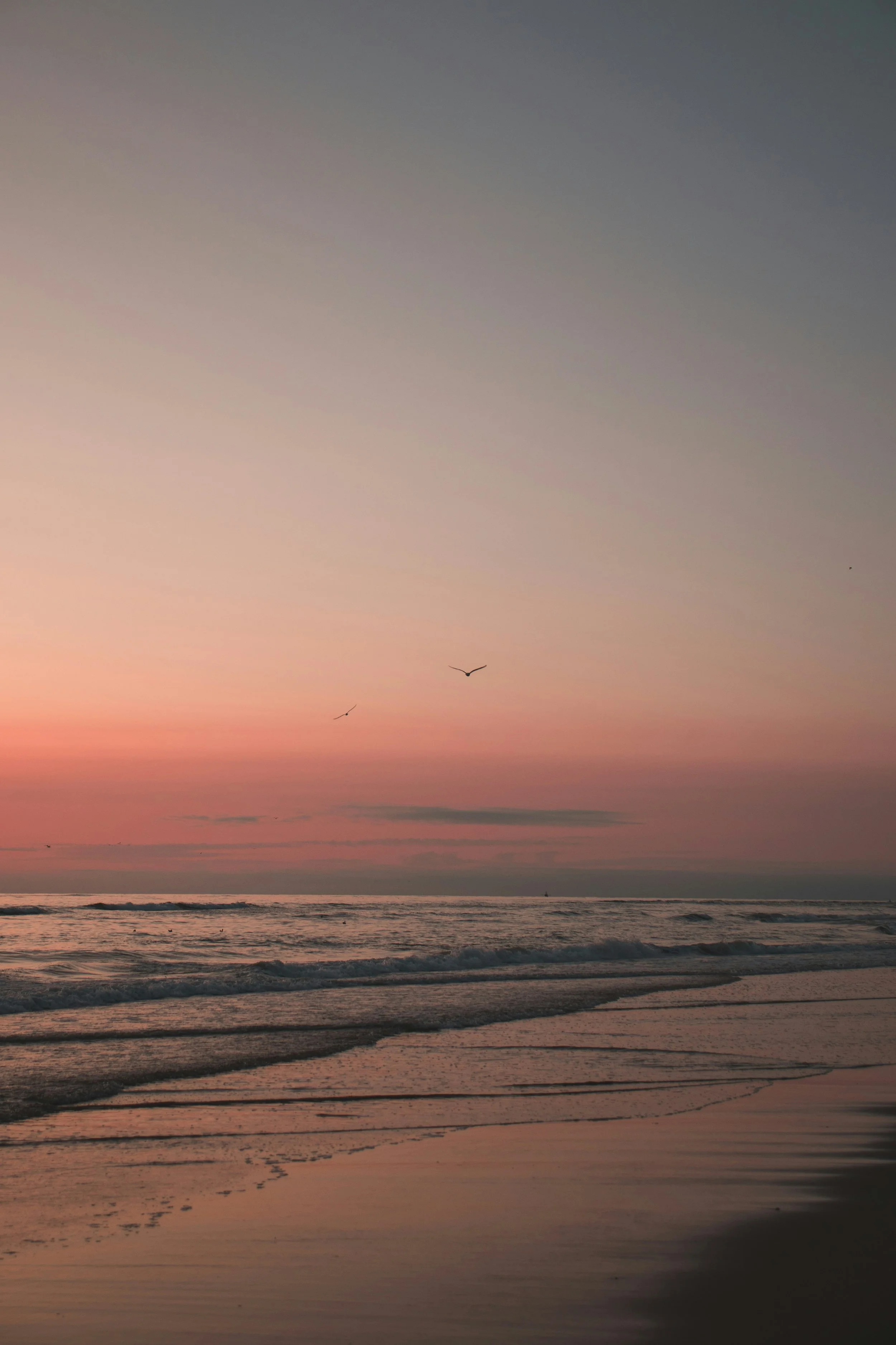 A serene beach scene at sunset with pink and purple hues in the sky, gentle waves on the shore, and seagulls flying above.