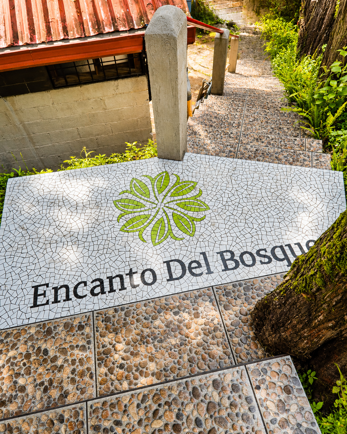 ENCANTO DEL BOSQUE