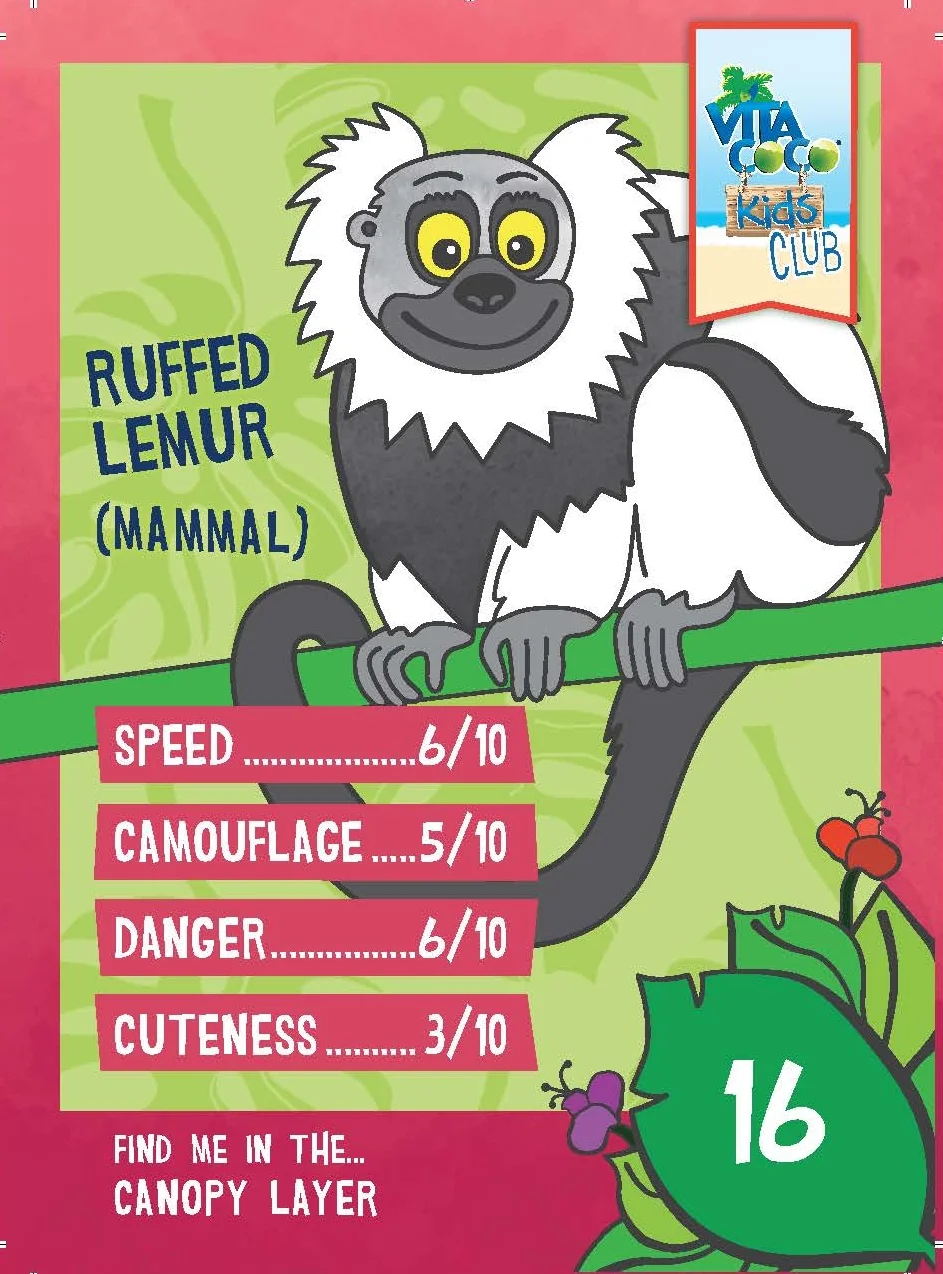 VCK_Rainforestcard_SECONDSET_ALL_FINAL_Page_31.jpg