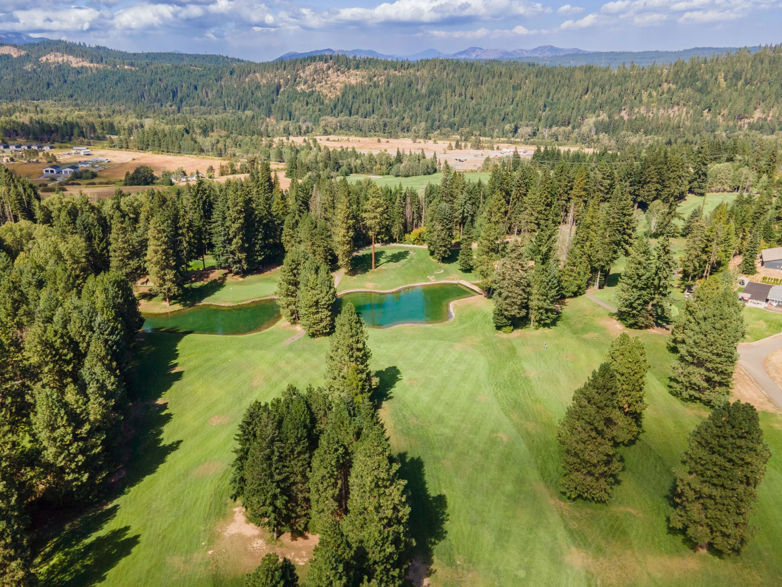 1060 Saint Andrews Dr - Drone-74.jpg