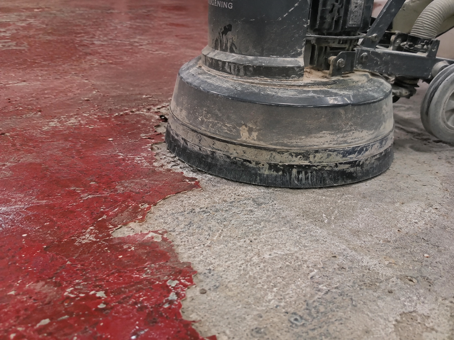 Close-up of a floor polishing machine on a concrete floor, with red paint being removed.