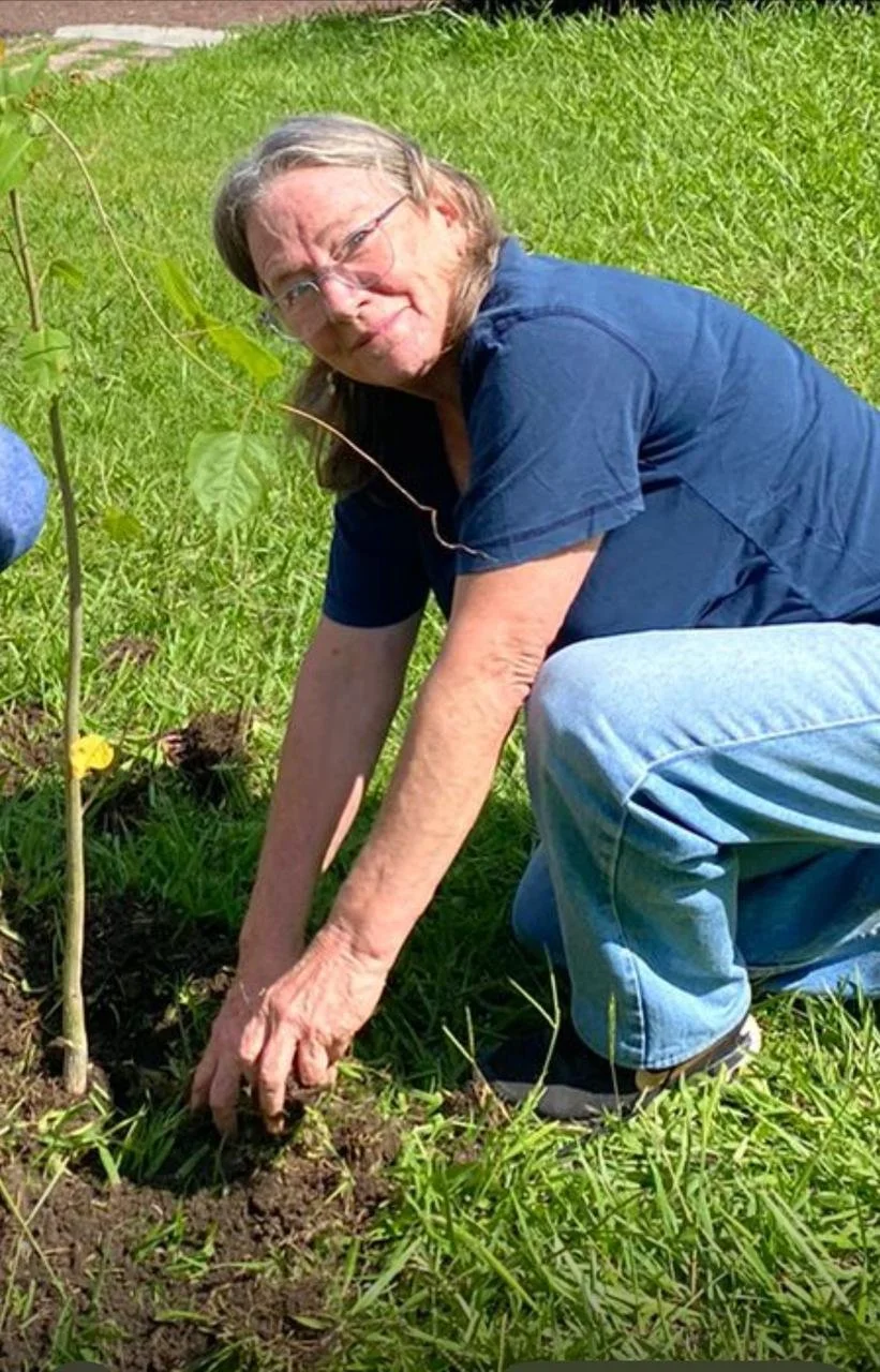 Una mujer mayor con lentes planta un árbol en un jardín con césped verde, agachada sobre la tierra con las manos en la tierra.