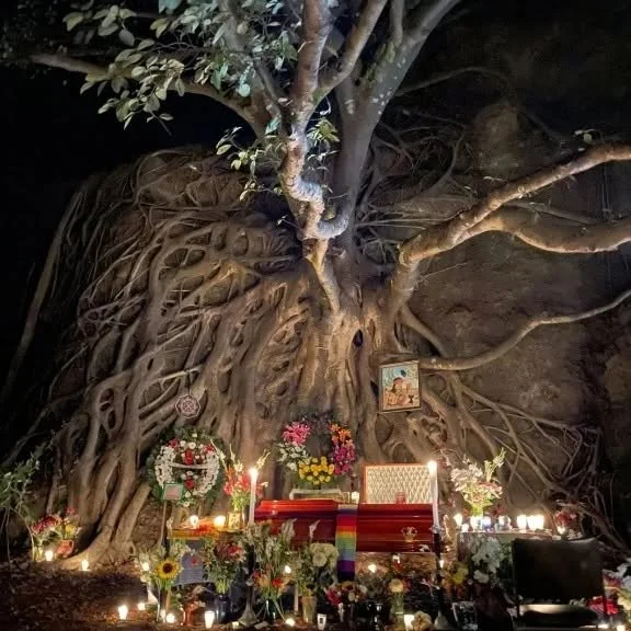 arbol hermoso.jpg