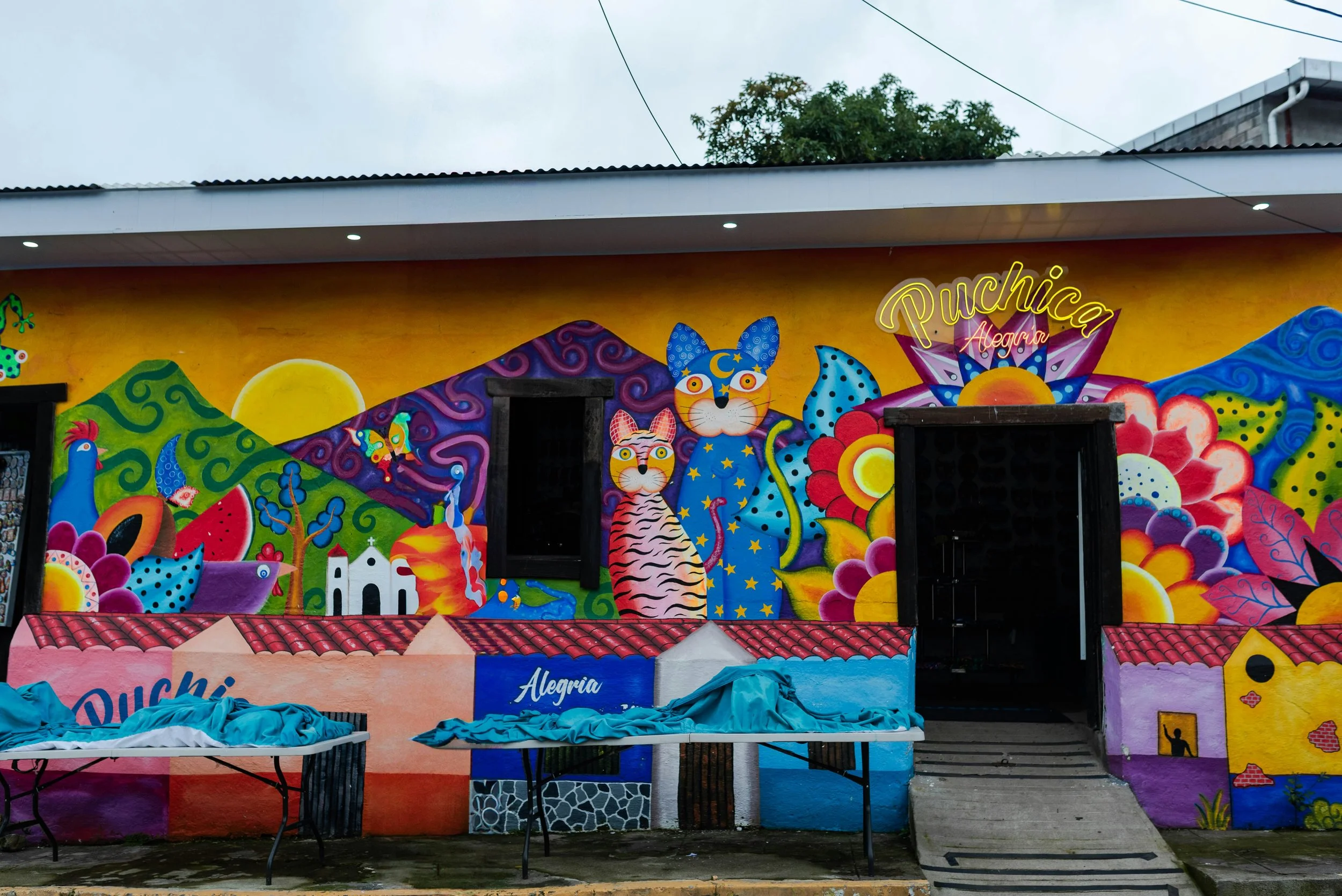Colorful mural on a building wall depicting animals such as a cat, tiger, bird, and mouse, with vibrant abstract shapes and the words "Puchica Alegría."