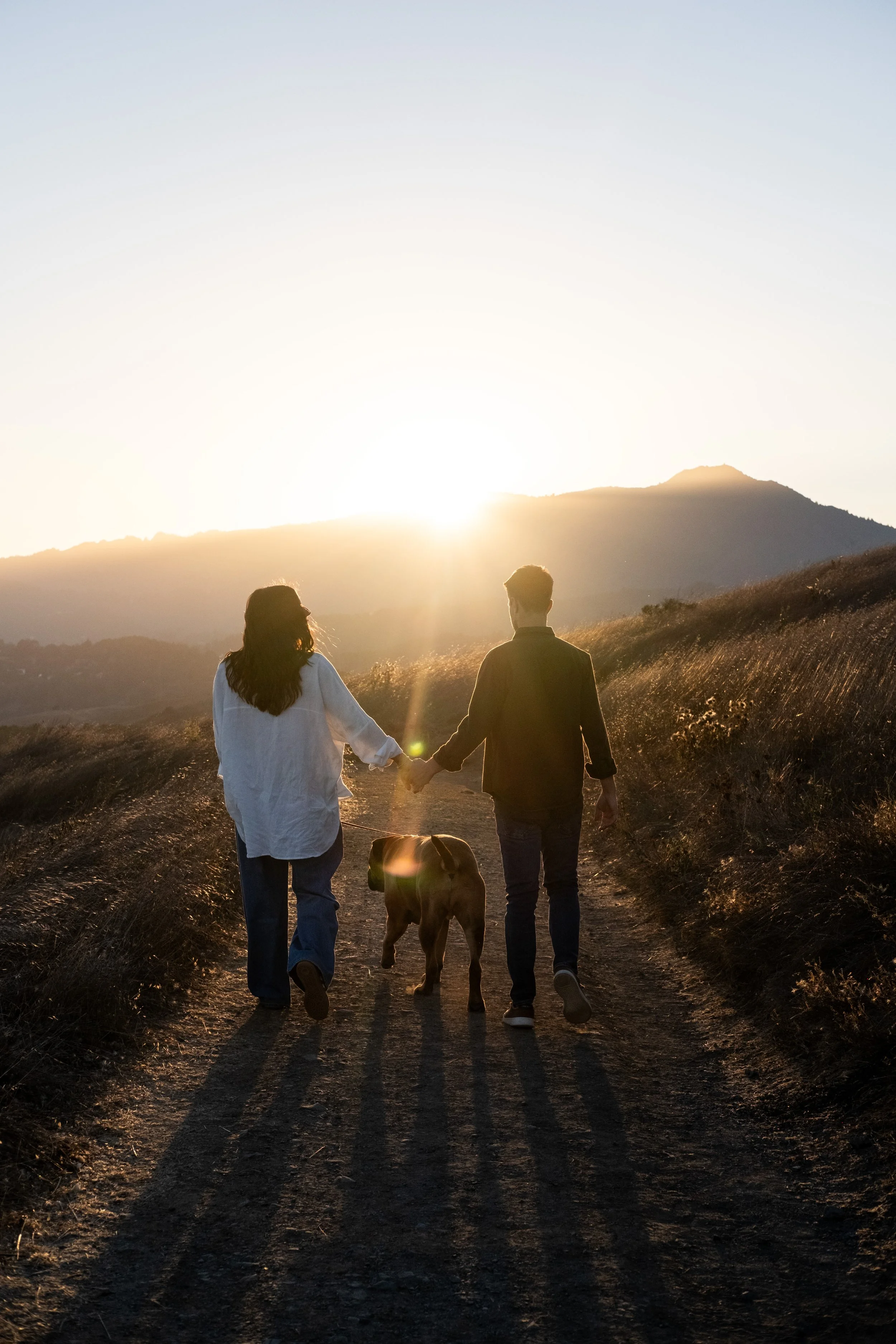 A couple walking hand in hand with their dog during sunset in a rural landscape with mountains in the background, during a maternity photoshoot in Marin County.