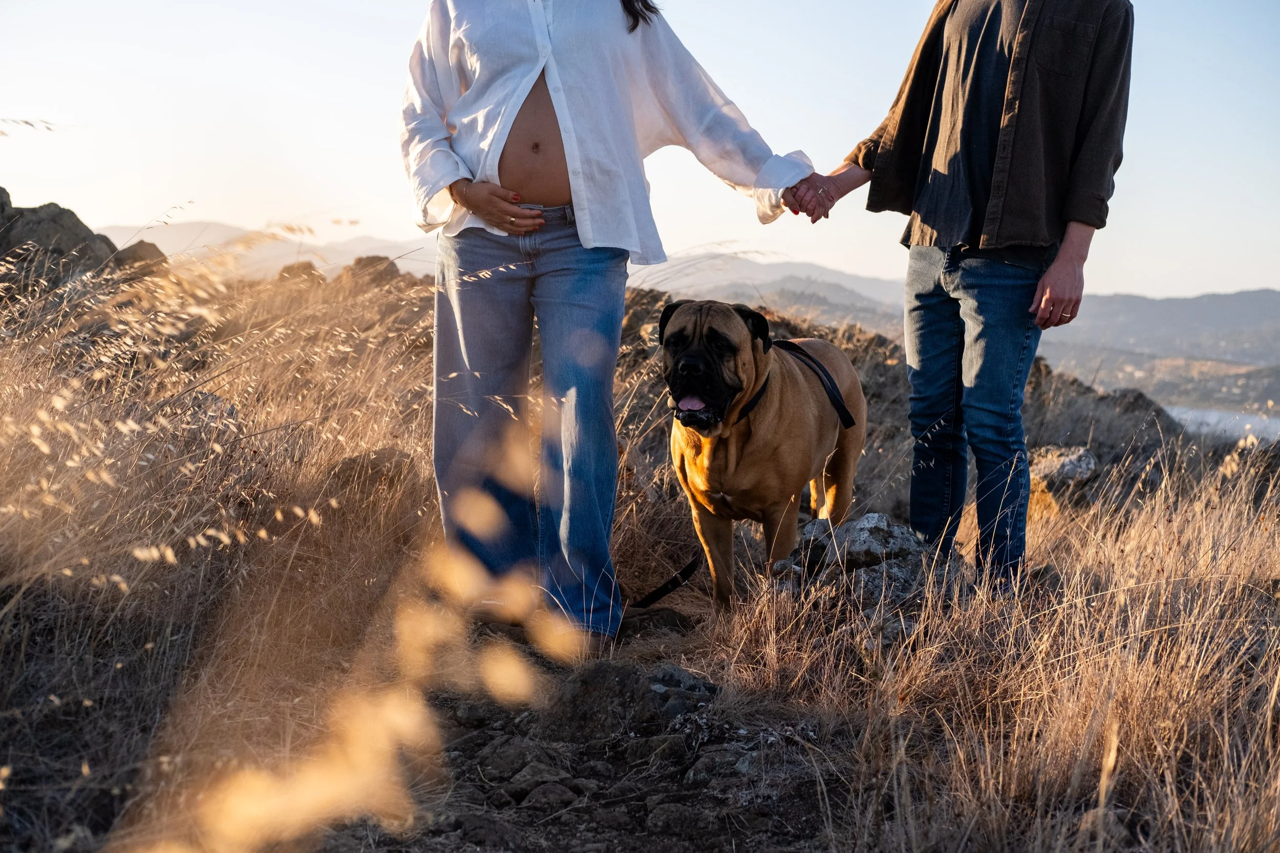 A couple holding hands outdoors during sunset, with a large dog standing beside them, on a rocky and grassy landscape with mountains in the background during a maternity photoshoot in the Bay Area.