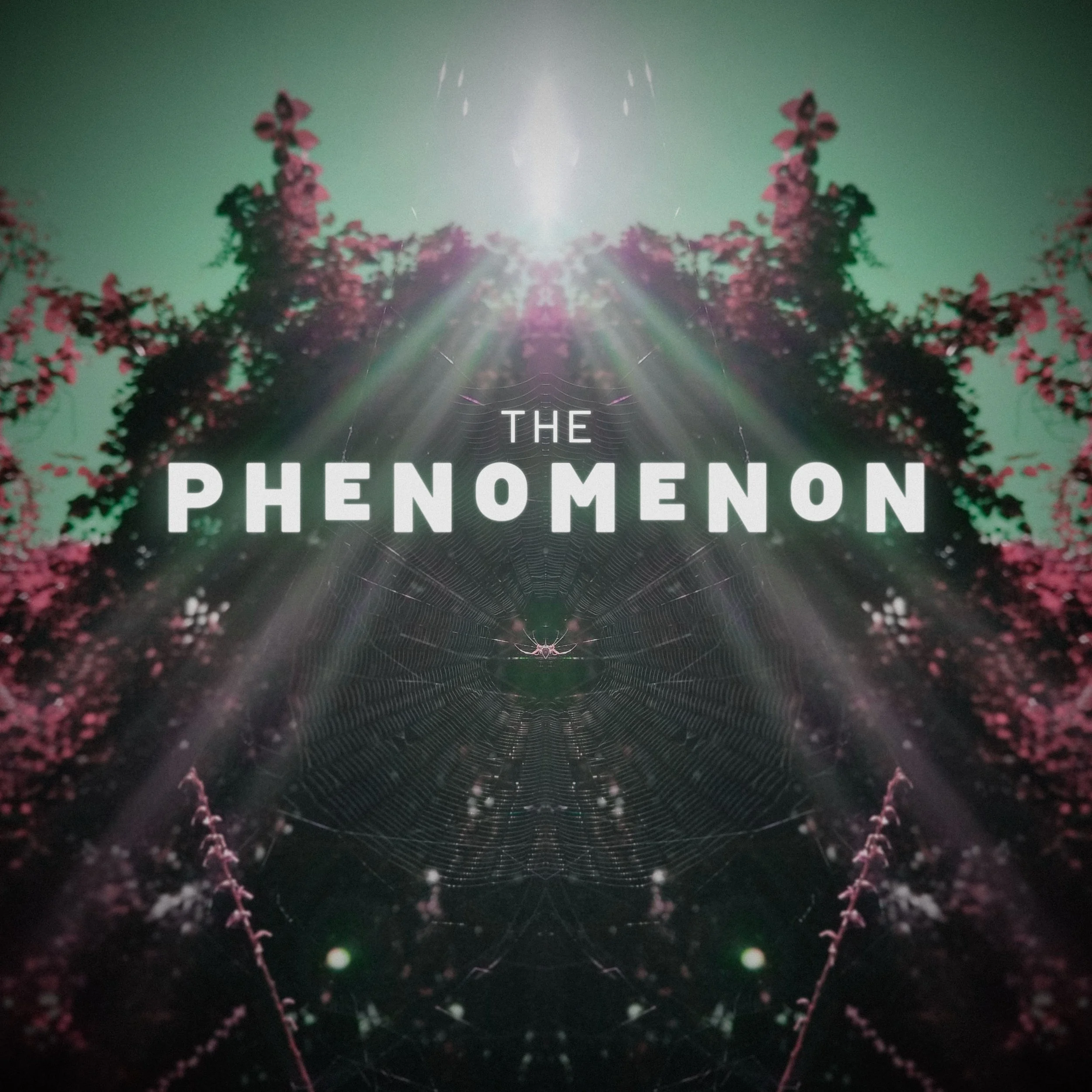 PhenomS2_Cover9_Q60.jpg