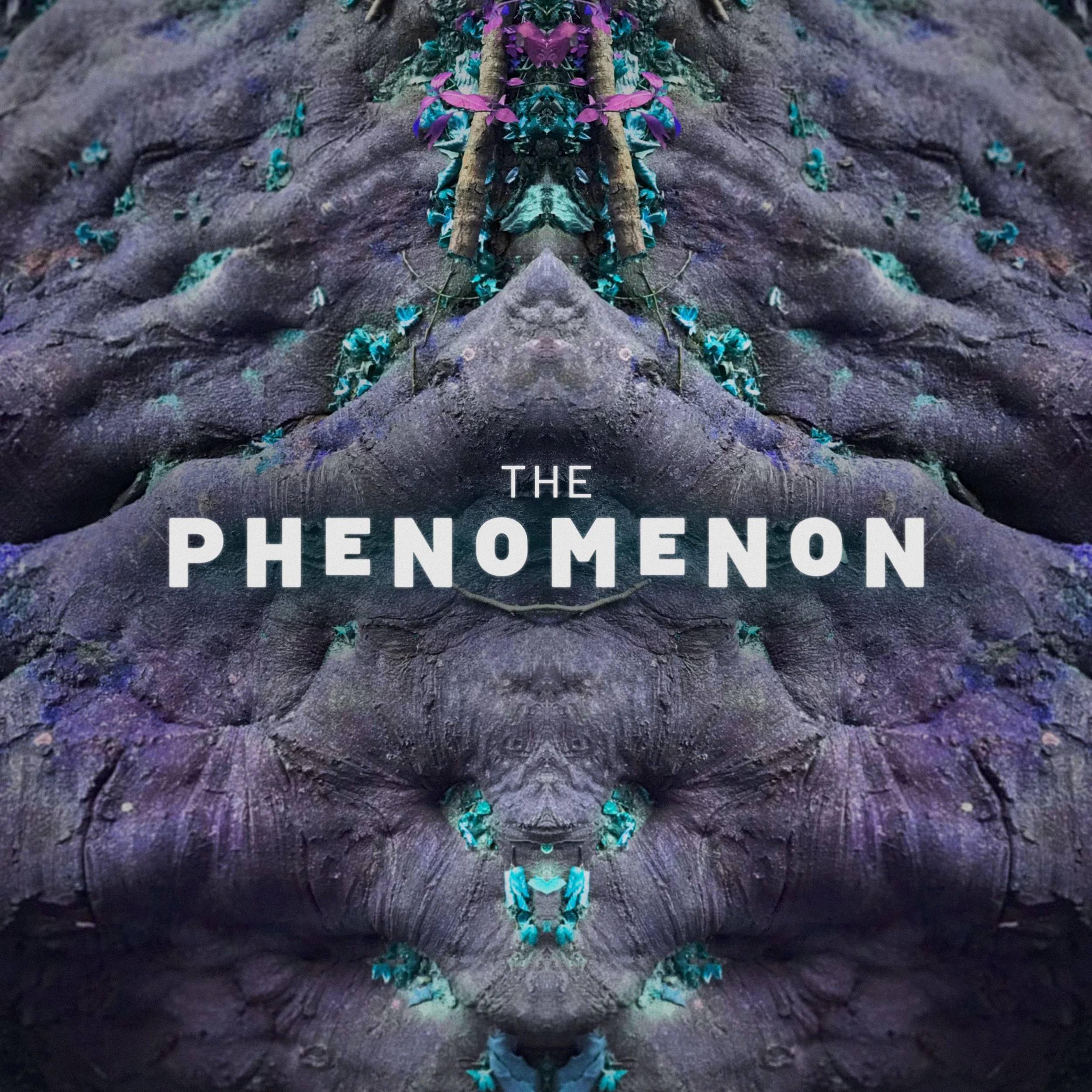 PhenomS2_Cover2_Q60.jpg