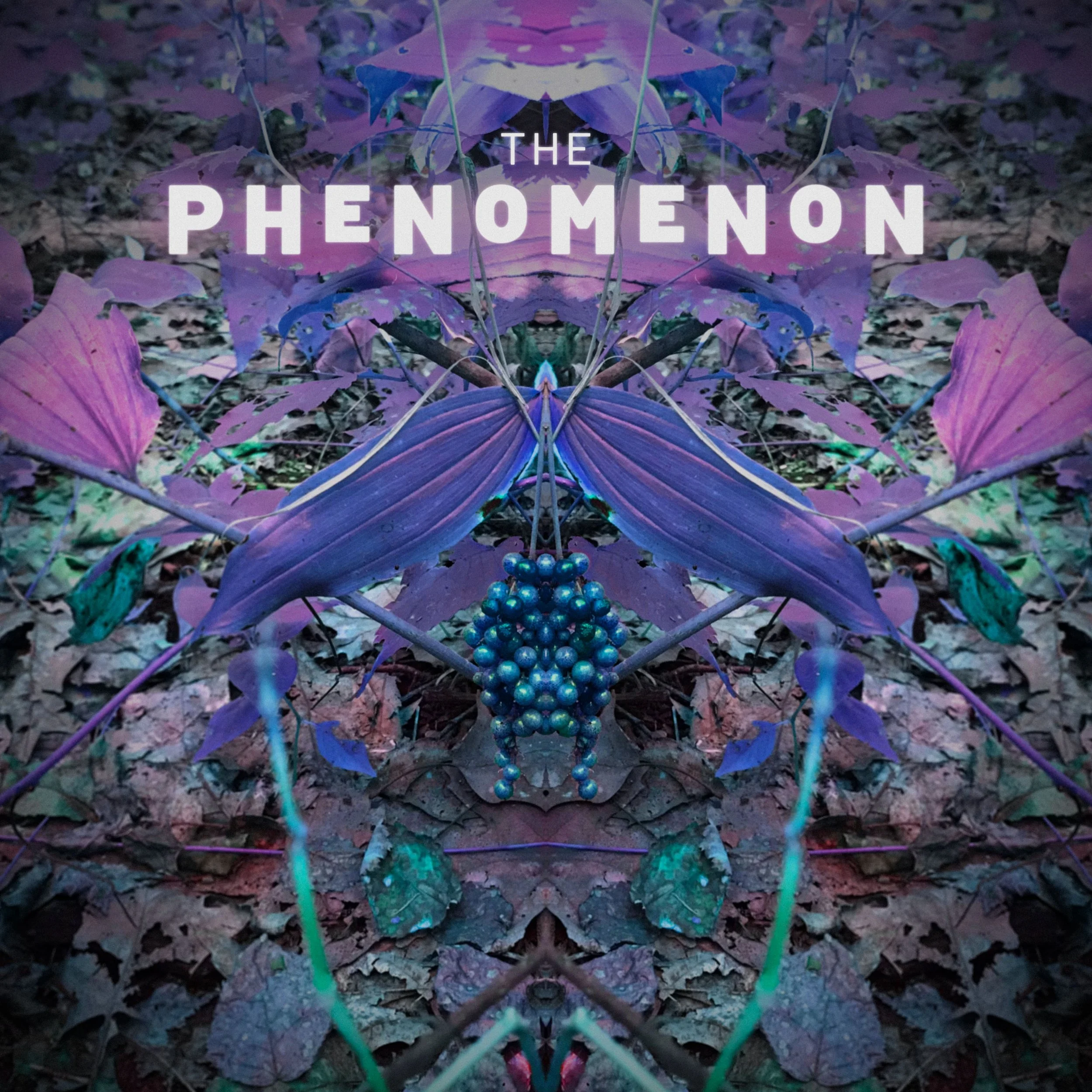 PhenomS2_Cover5_Q60.jpg