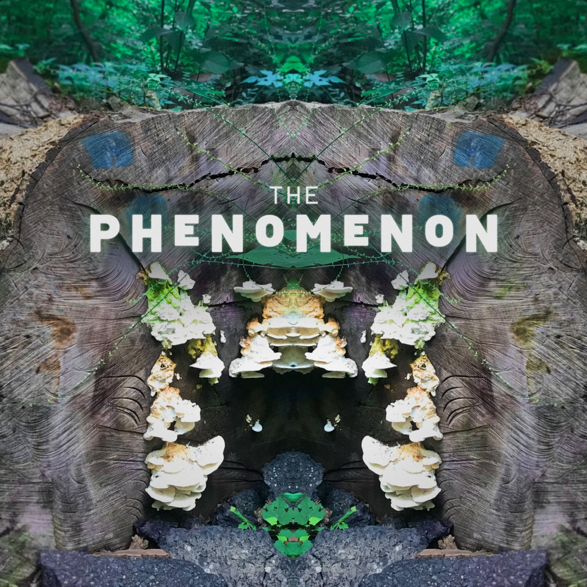 PhenomS2_Cover7_Q60.jpg
