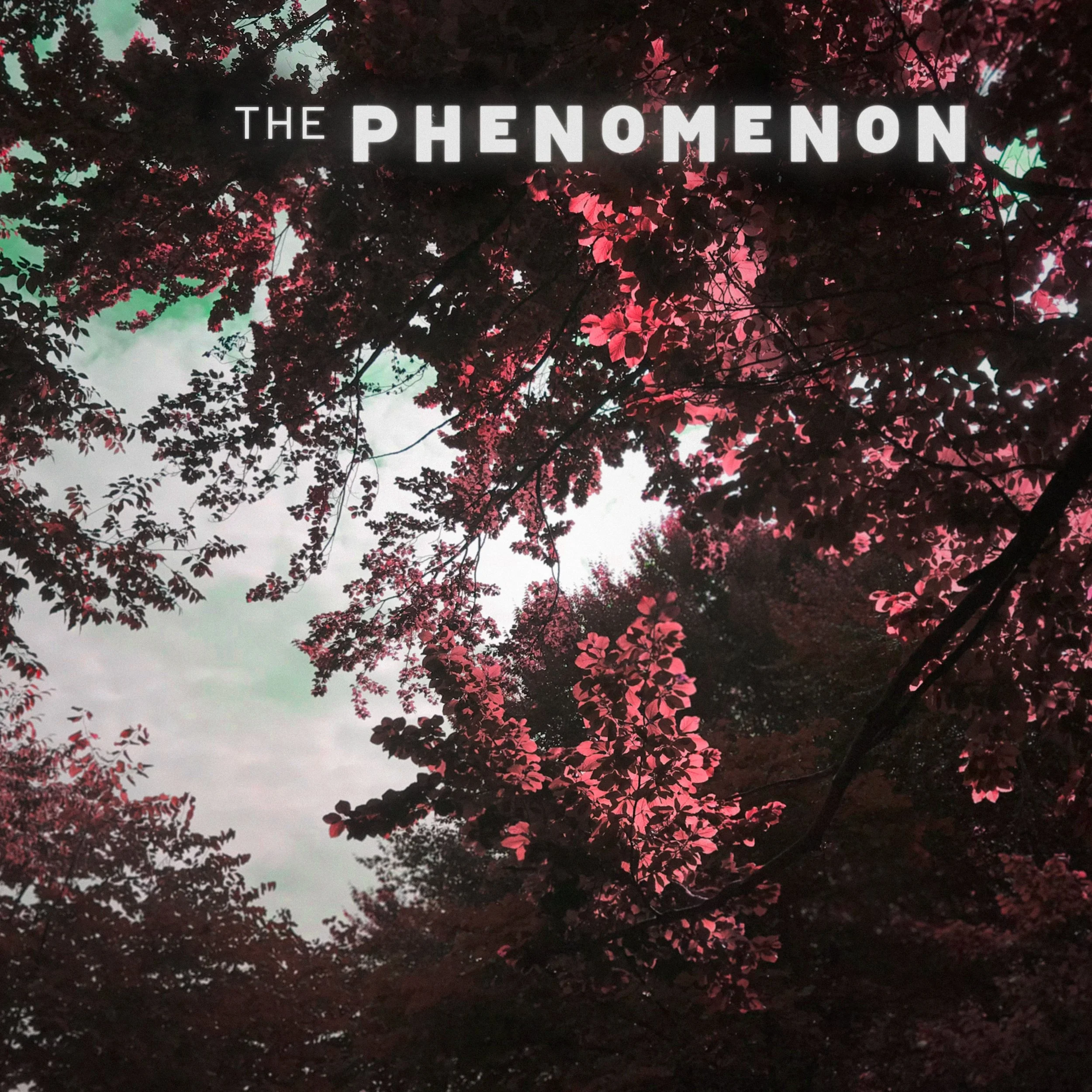 PhenomS2_Cover4_Q60.jpg