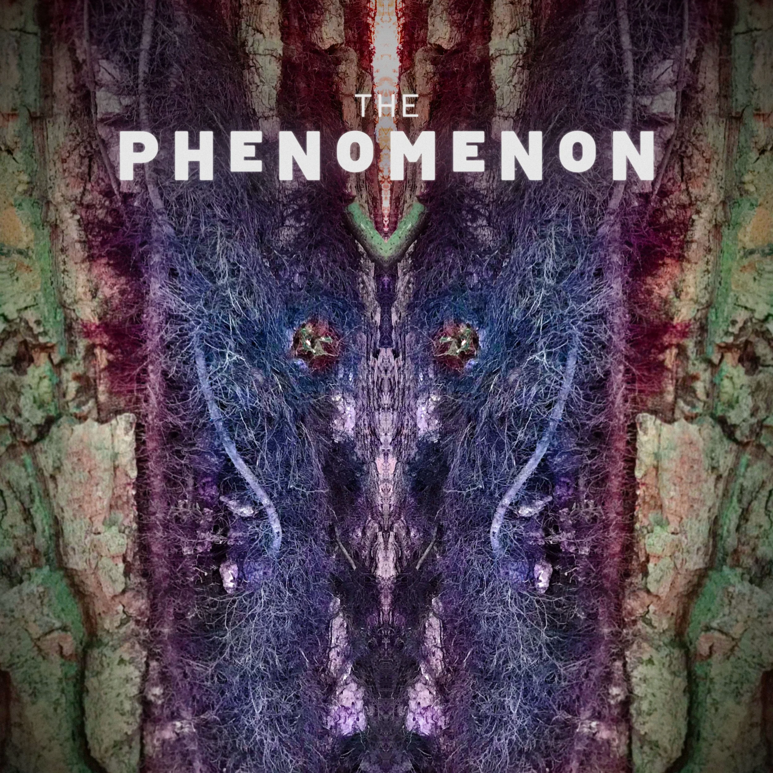 PhenomS2_Cover6_Q60.jpg