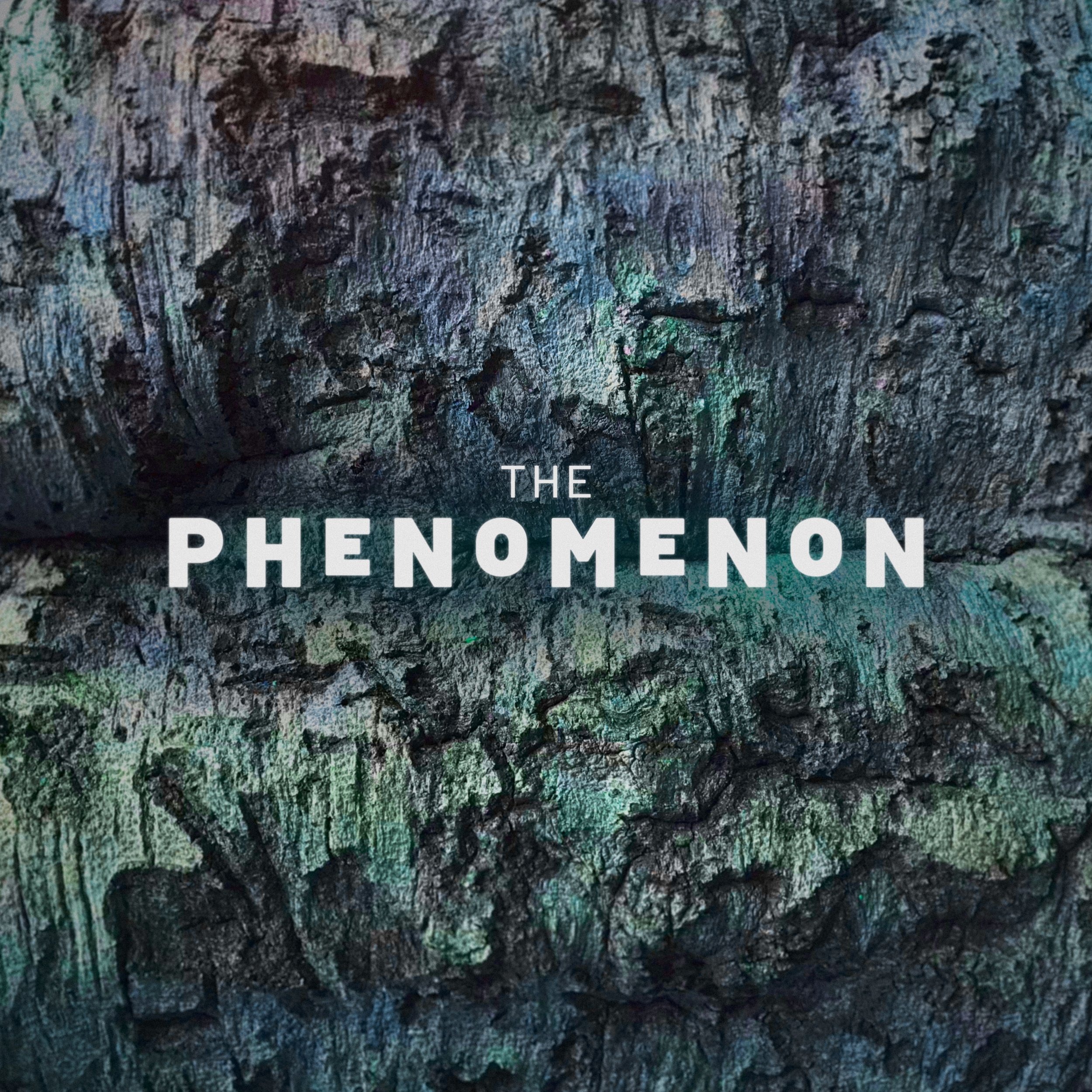 PhenomS2_Cover8_Q60.jpg