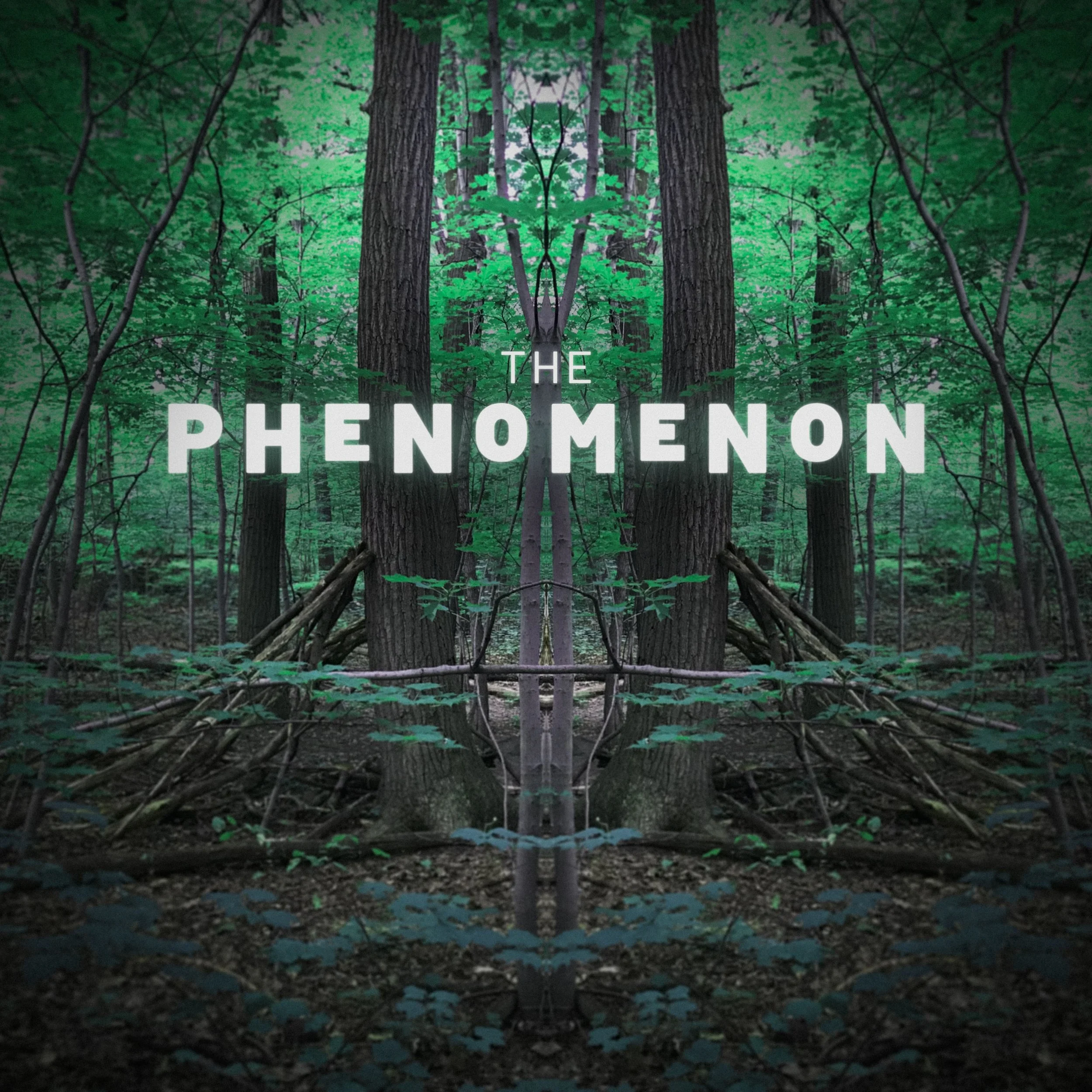 PhenomS2_Cover3_Q60.jpg