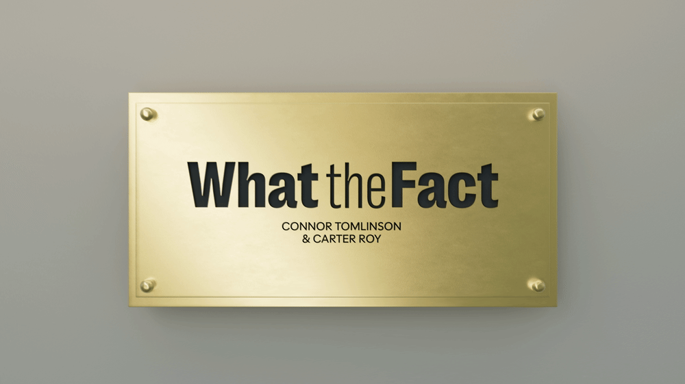 What The Fact Podcast