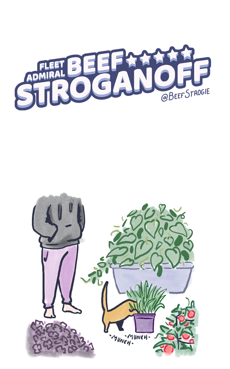 FABS 1 Cat Grass