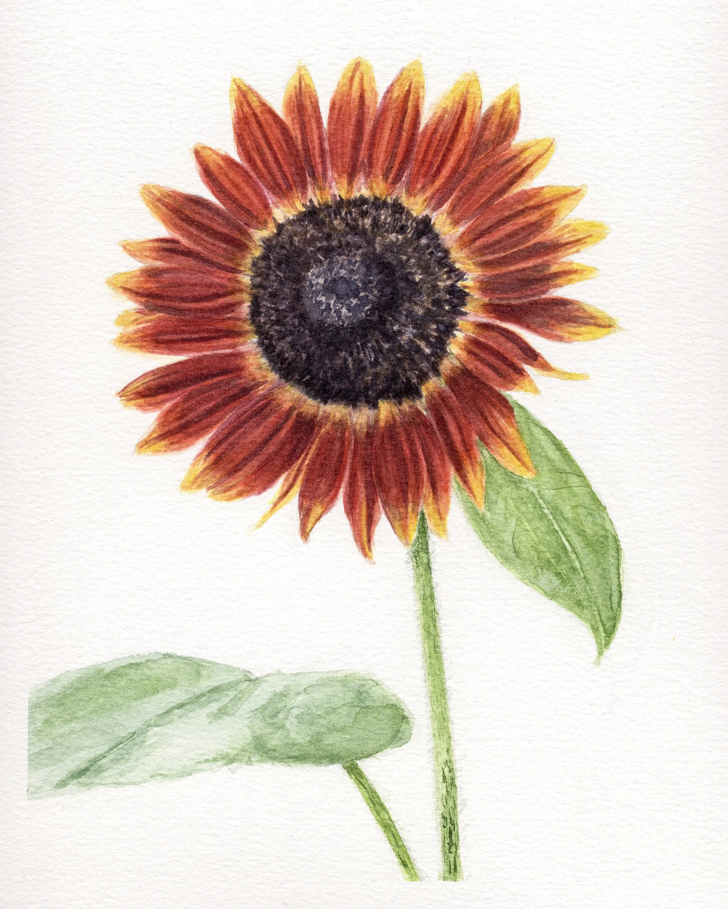 Image_20260817_0001.png