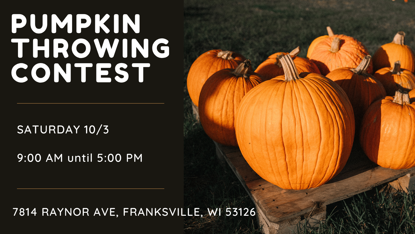 Pumpkin Throwing Contest
