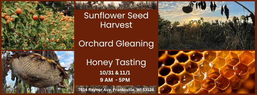 Closing Weekend: Harvest &amp; Halloween