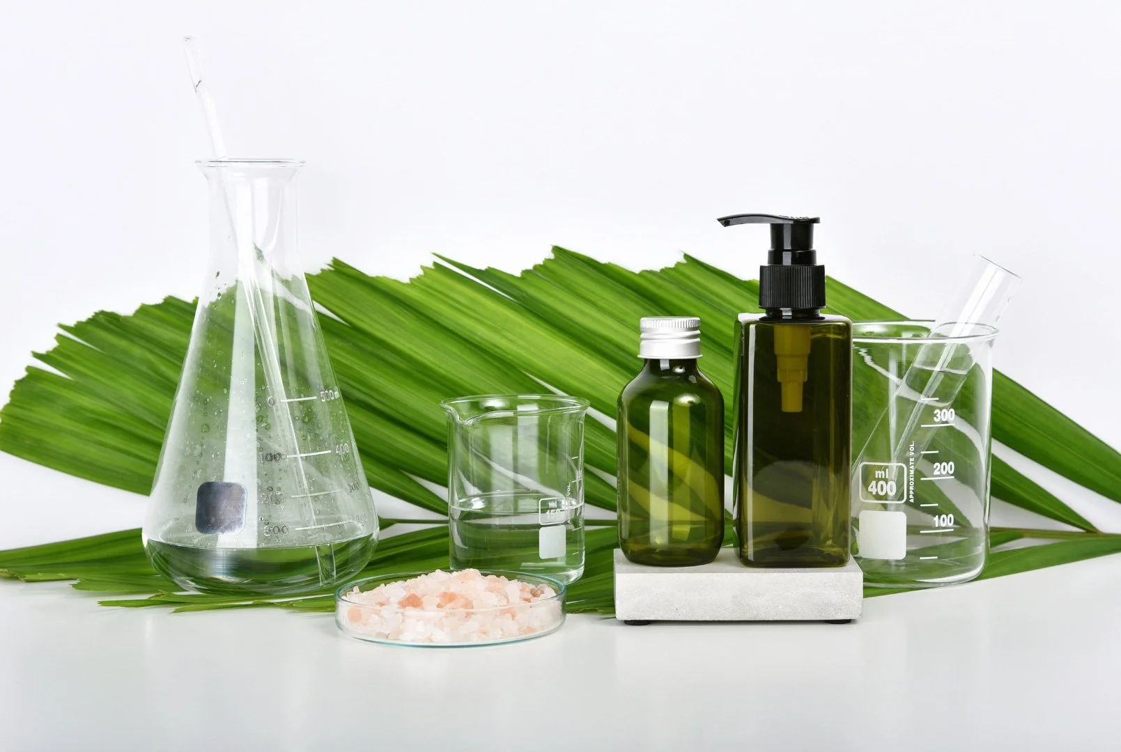 Collection of glass laboratory containers and bottles with green liquid, salt, and test tubes, set on green palm leaves against a white background.