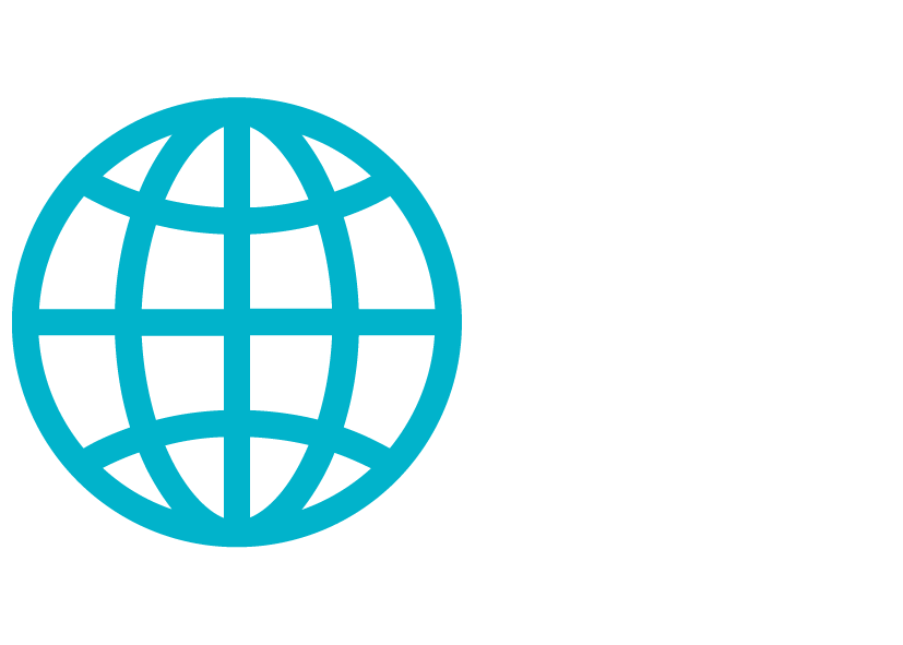 A blue globe icon with latitude and longitude lines, next to the text "International".