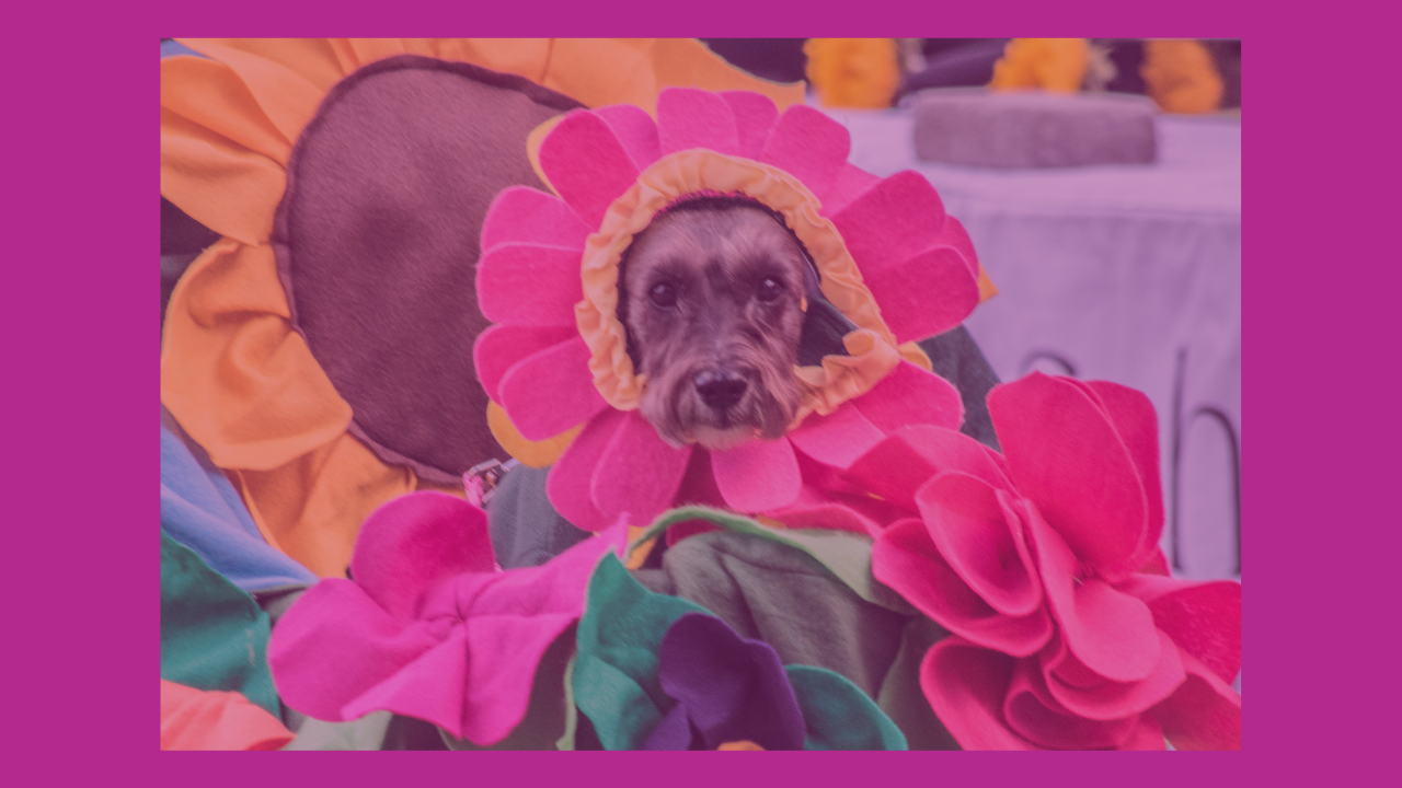 Minimize Imposter Syndrome