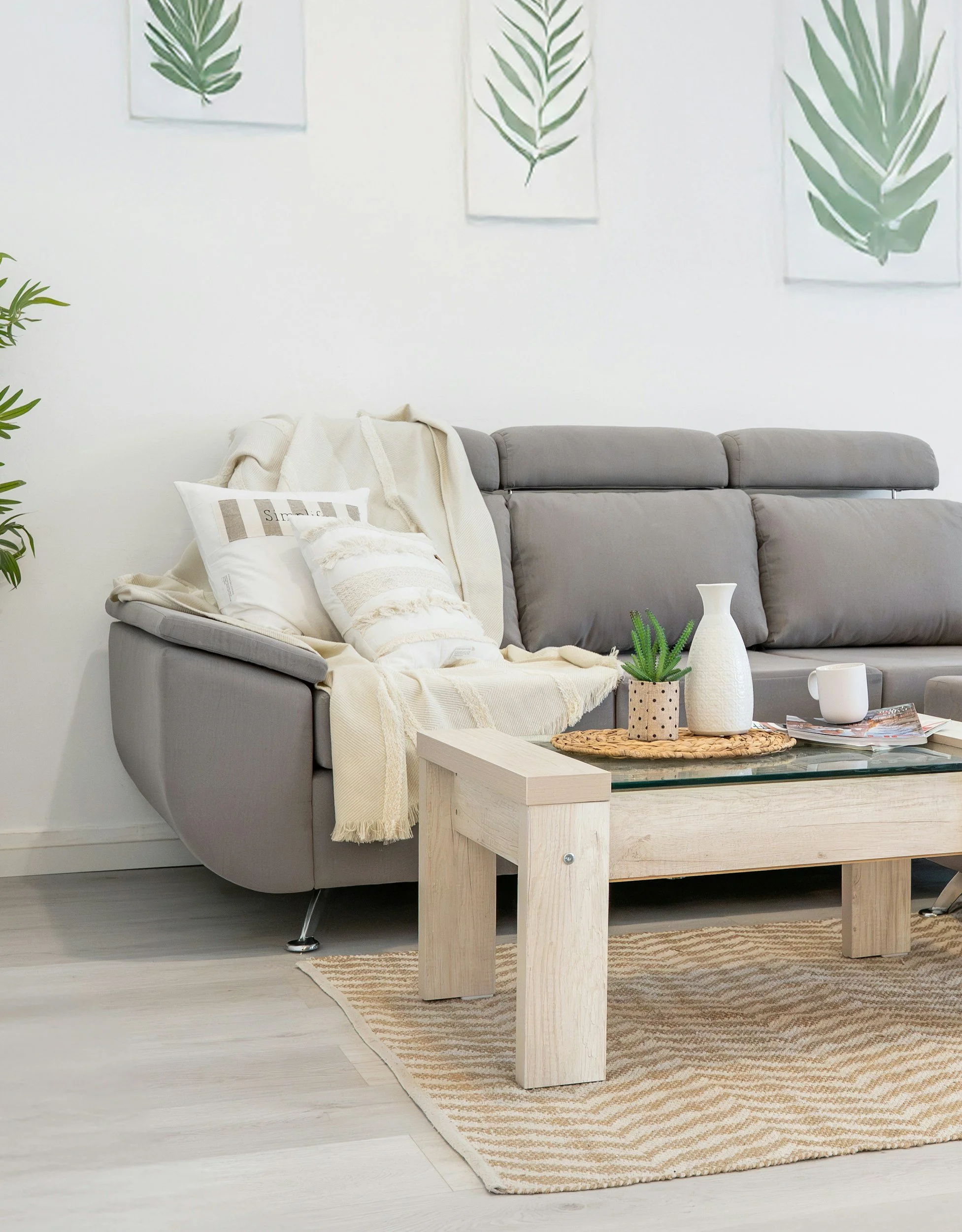 Comfortable shared living room with sofa and coffee table