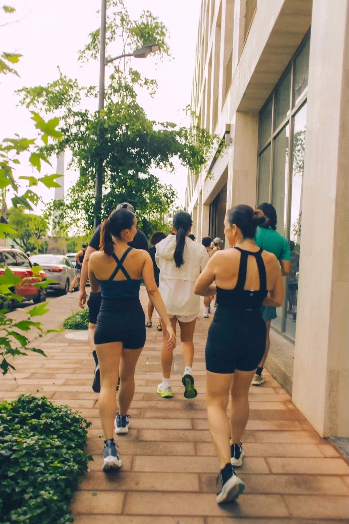 Group of people walking on a city sidewalk with trees and parked cars nearby, in warm weather.