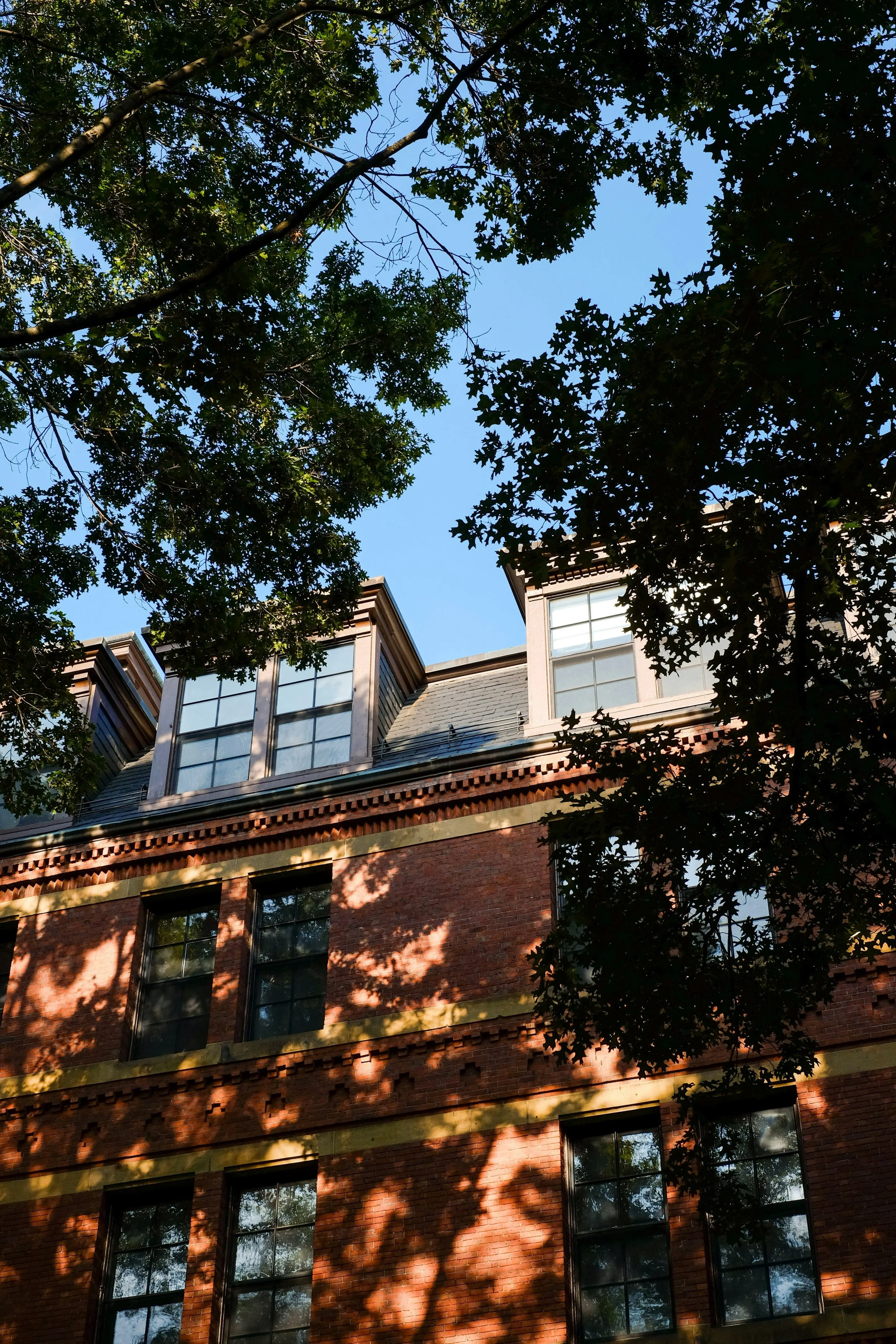 A brick building in Boston with large windows, surrounded by trees with green leaves and shadows cast on the building, under a clear blue sky.