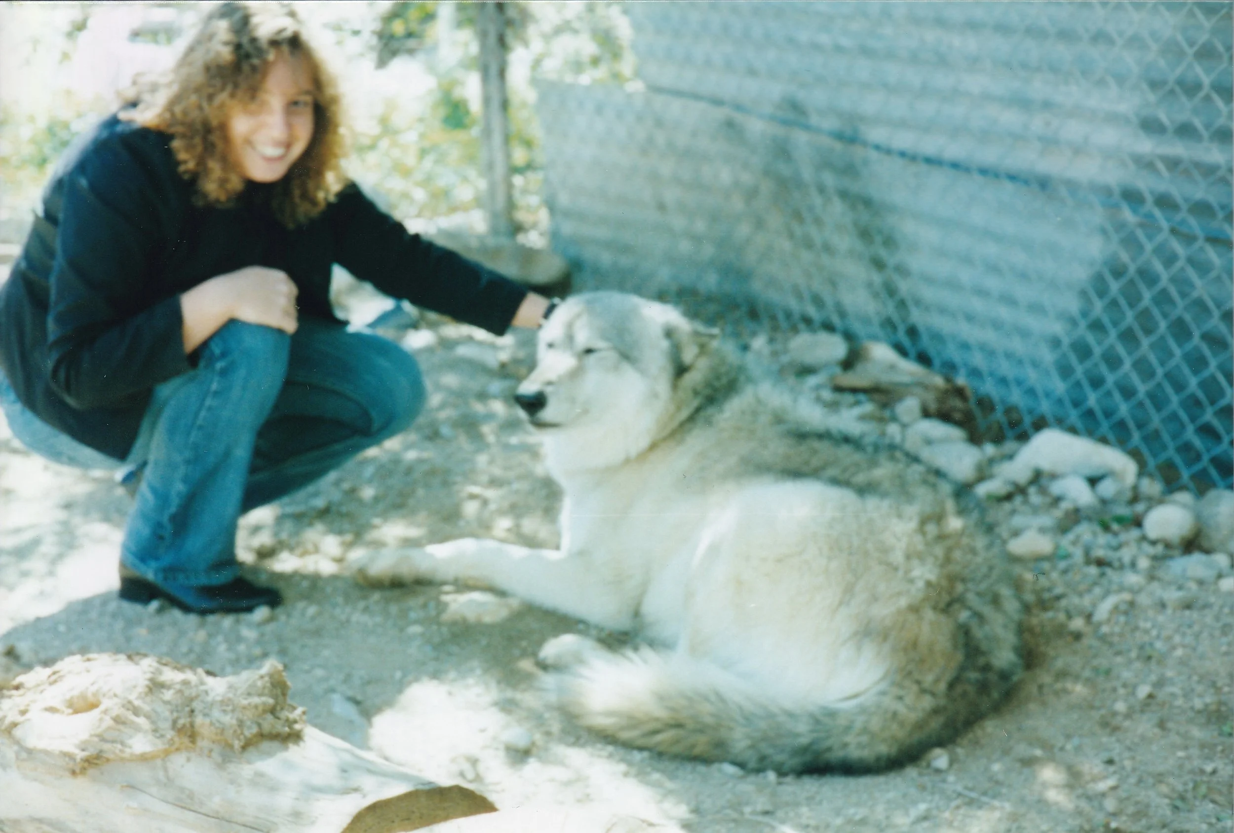 2004 Wolf 2.jpg