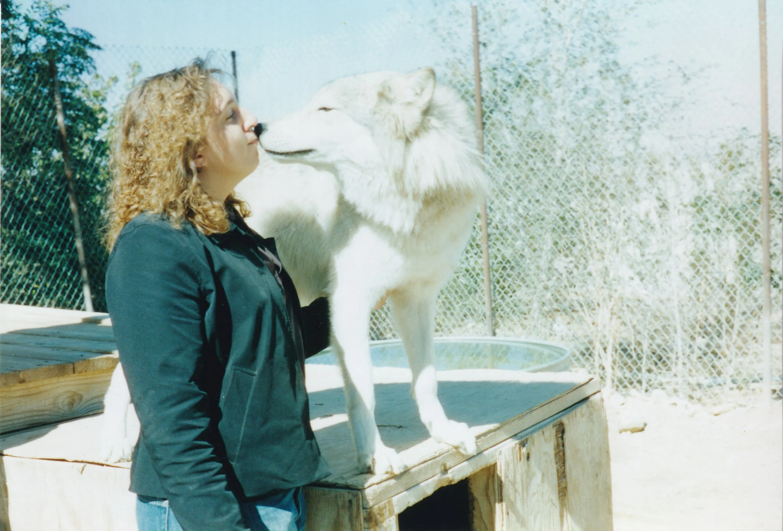 2004 Wolf 4.jpg