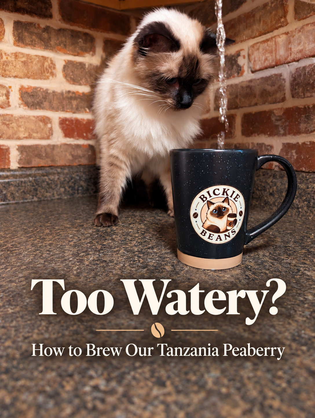 How to Brew Our Tanzania Peaberry